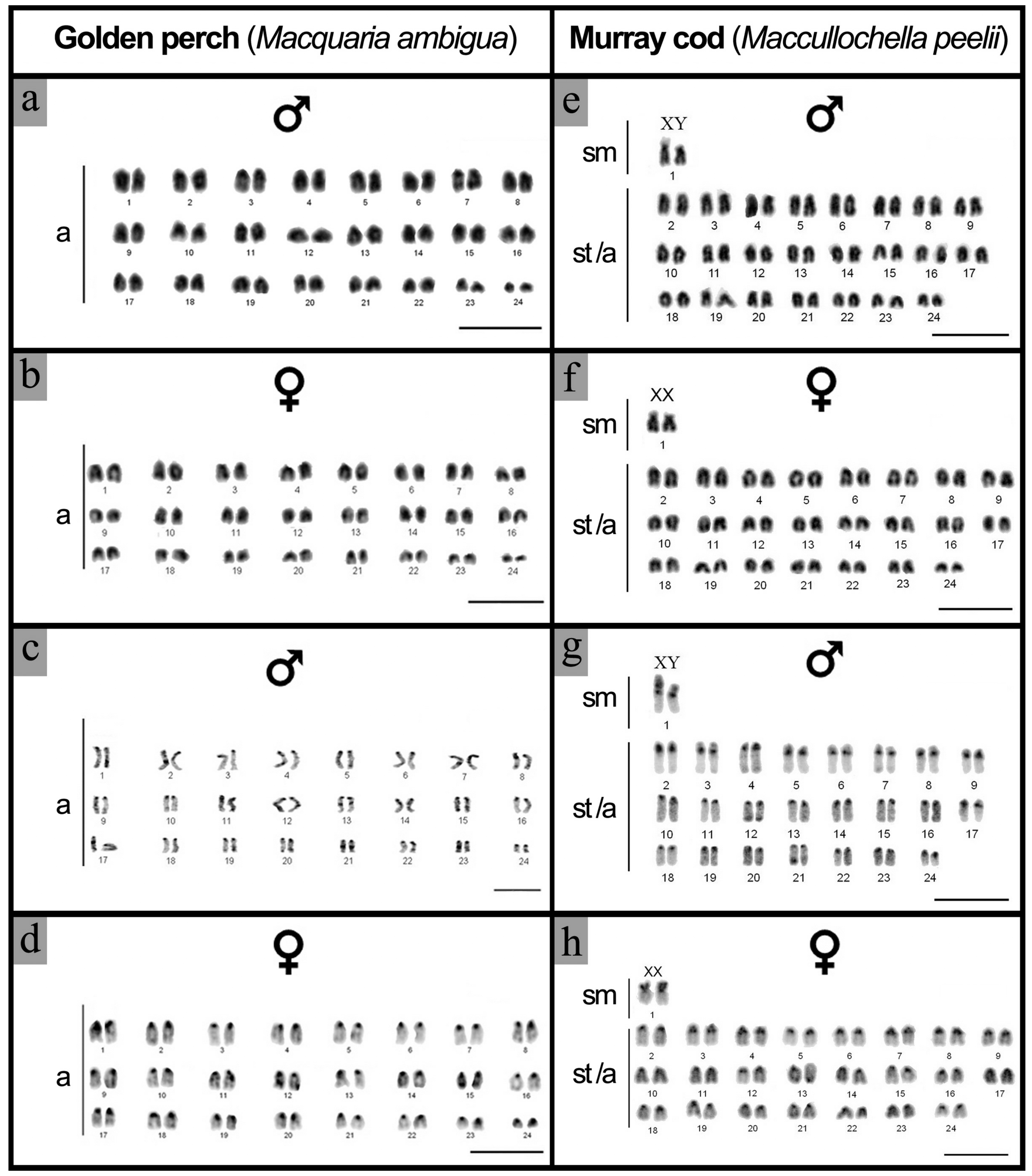 Ijms 20 04244 g003 Ijms 20 04244 g003