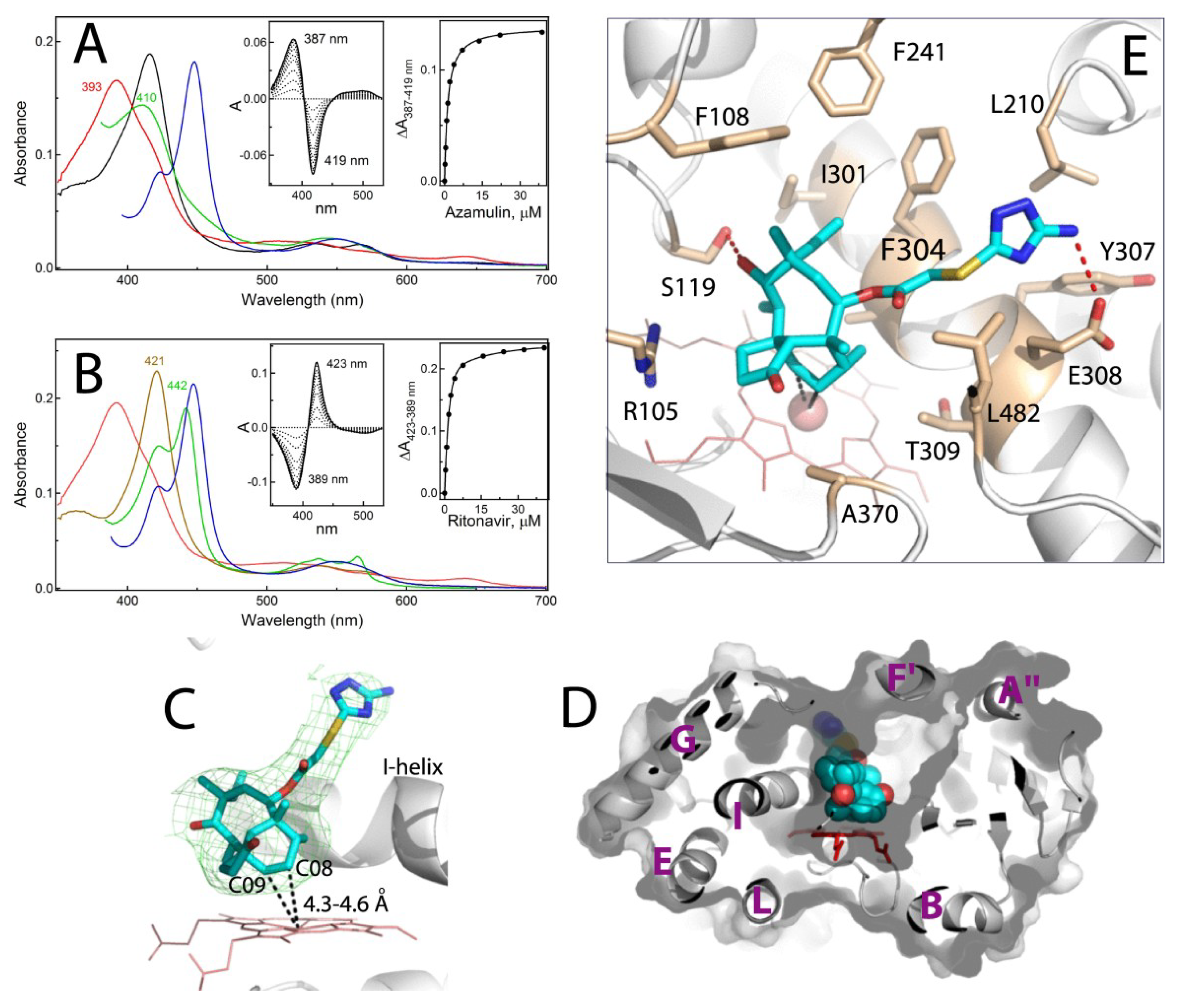 Ijms 20 04245 g003 Ijms 20 04245 g003
