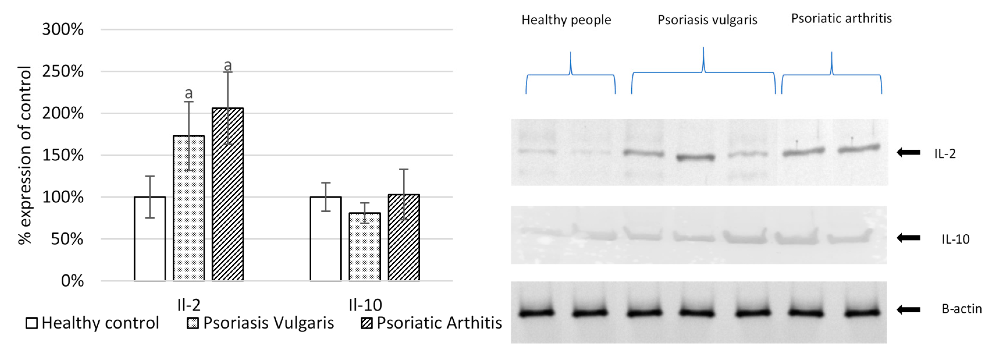 Ijms 20 04249 g006 Ijms 20 04249 g006