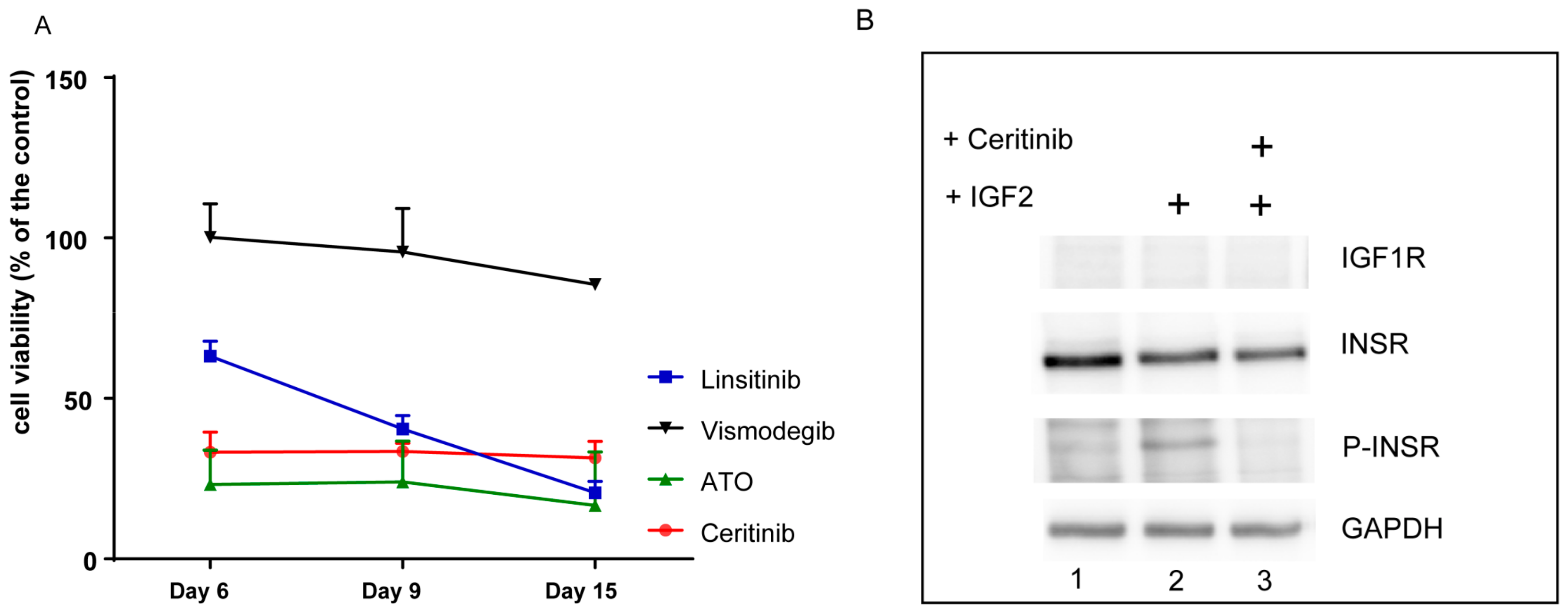 Ijms 20 04267 g005 Ijms 20 04267 g005