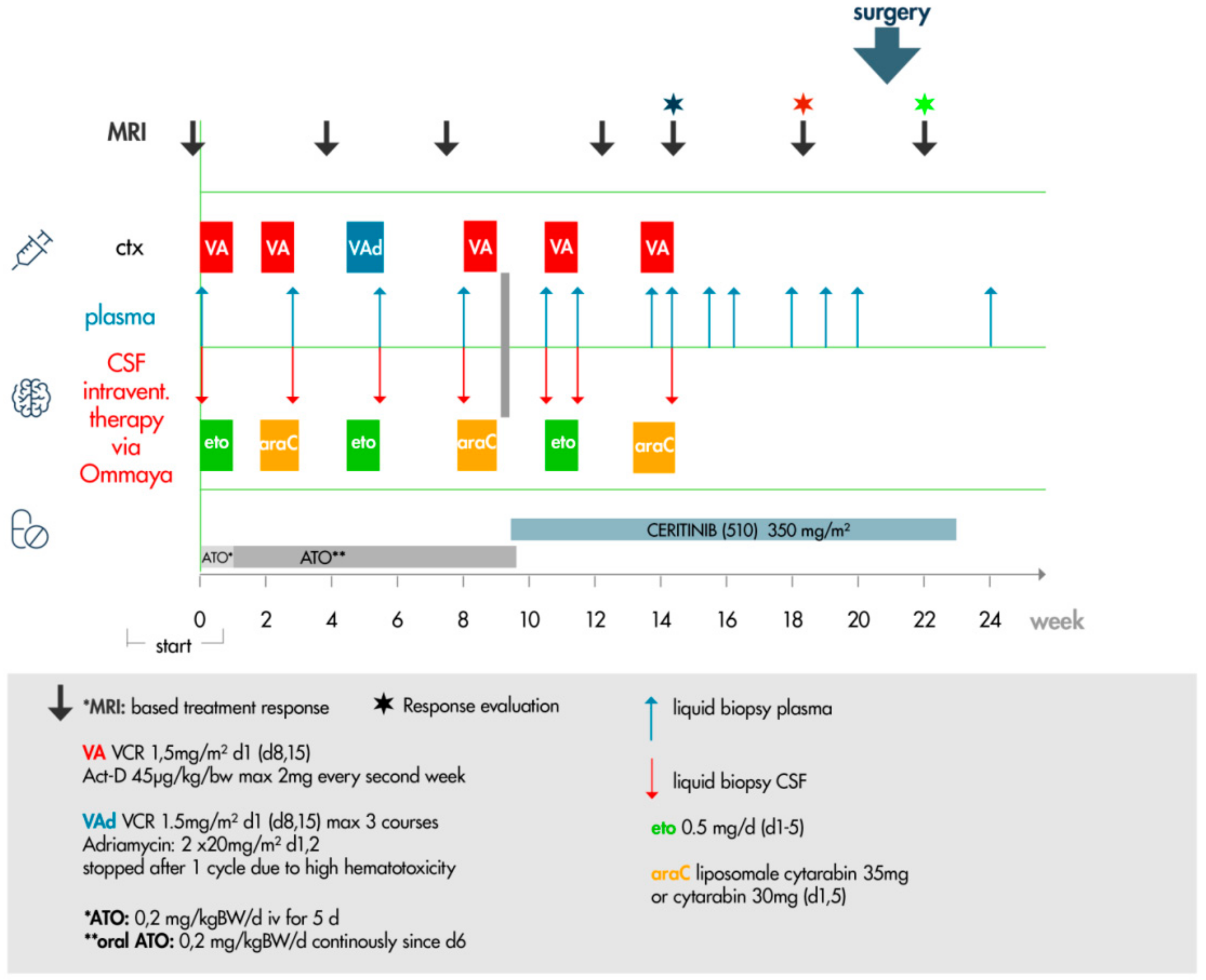 Ijms 20 04267 g006 Ijms 20 04267 g006
