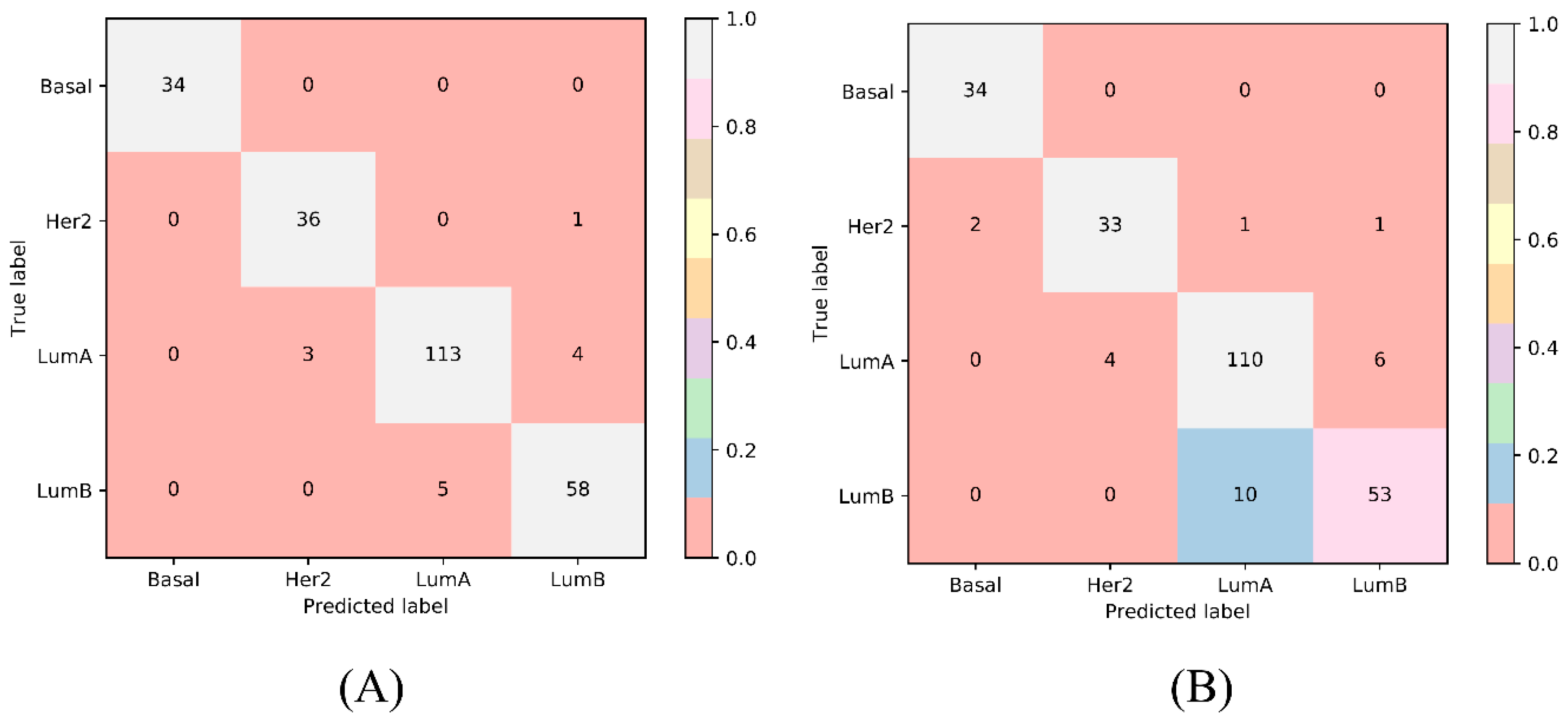 Ijms 20 04269 g001 Ijms 20 04269 g001