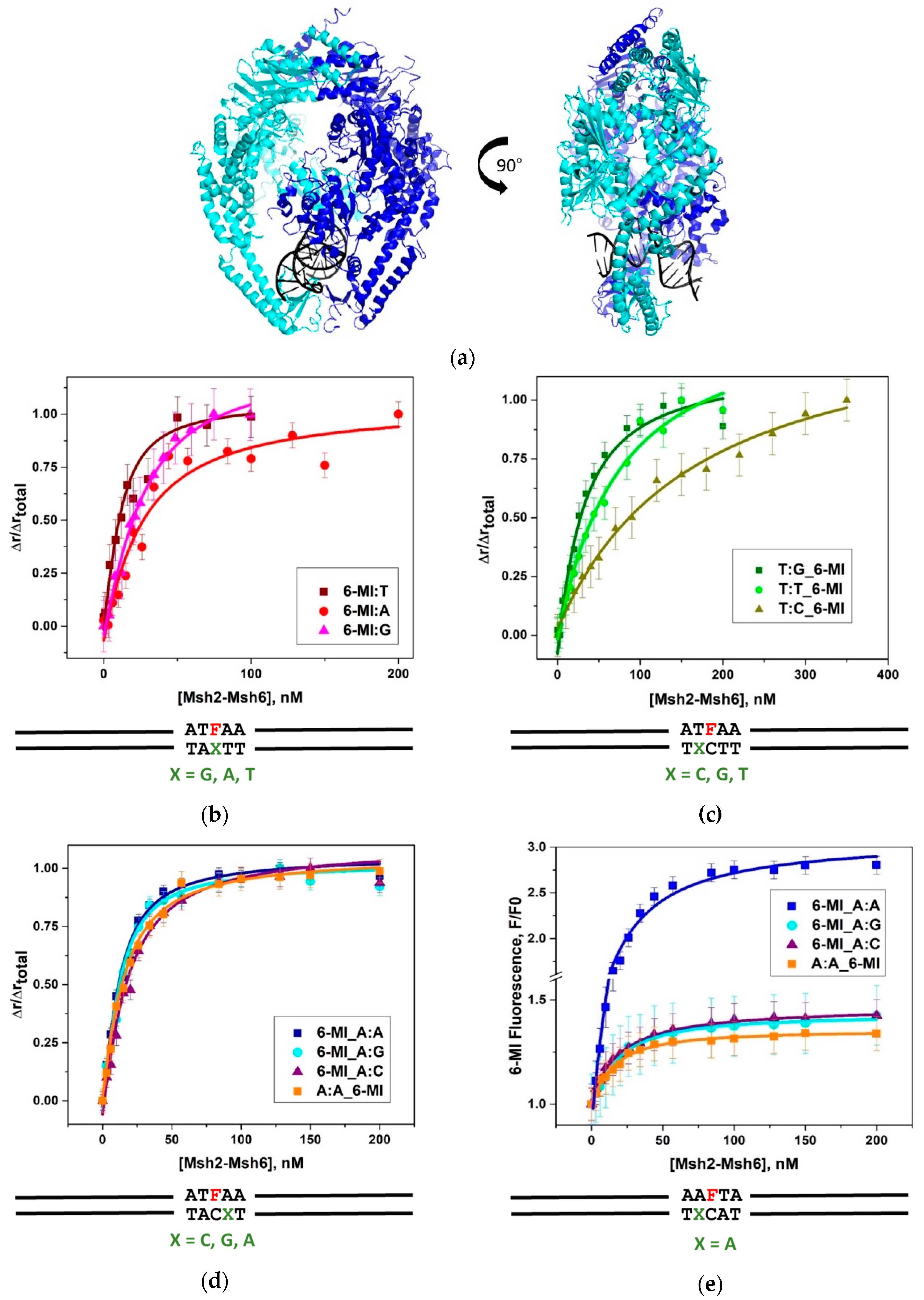 Ijms 20 04271 g001 Ijms 20 04271 g001