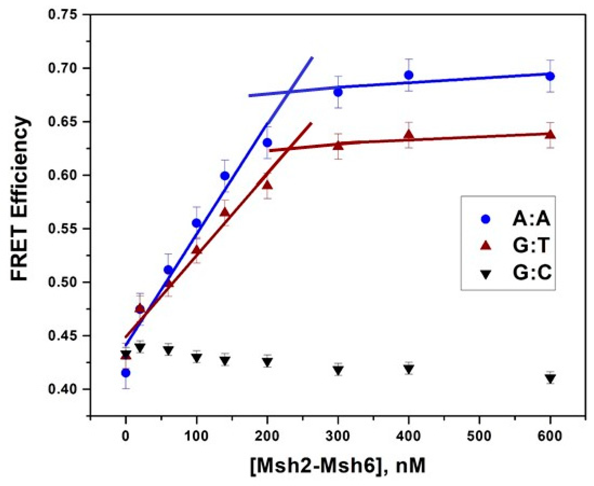 Ijms 20 04271 g006 Ijms 20 04271 g006