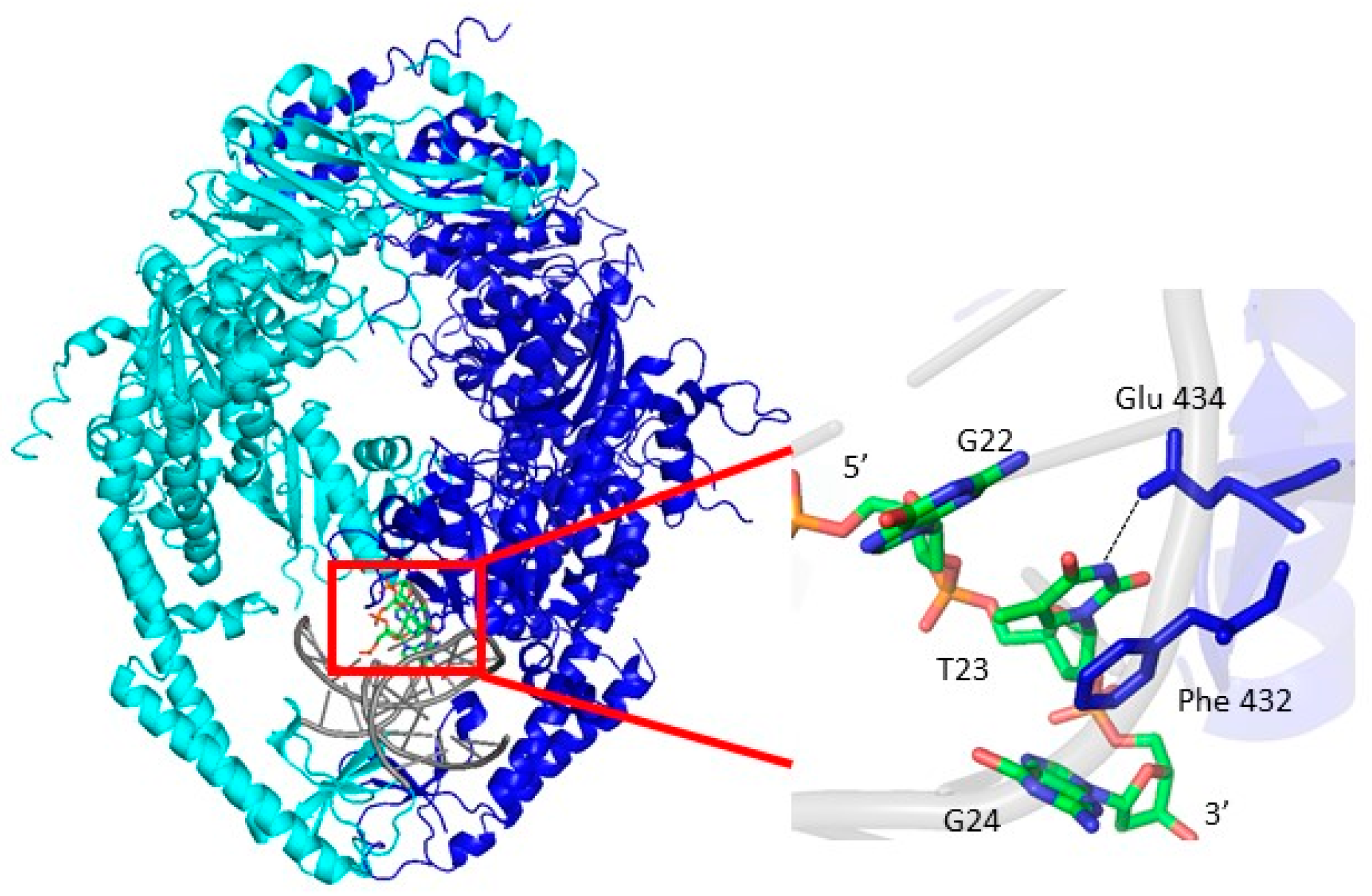 Ijms 20 04271 g009 Ijms 20 04271 g009