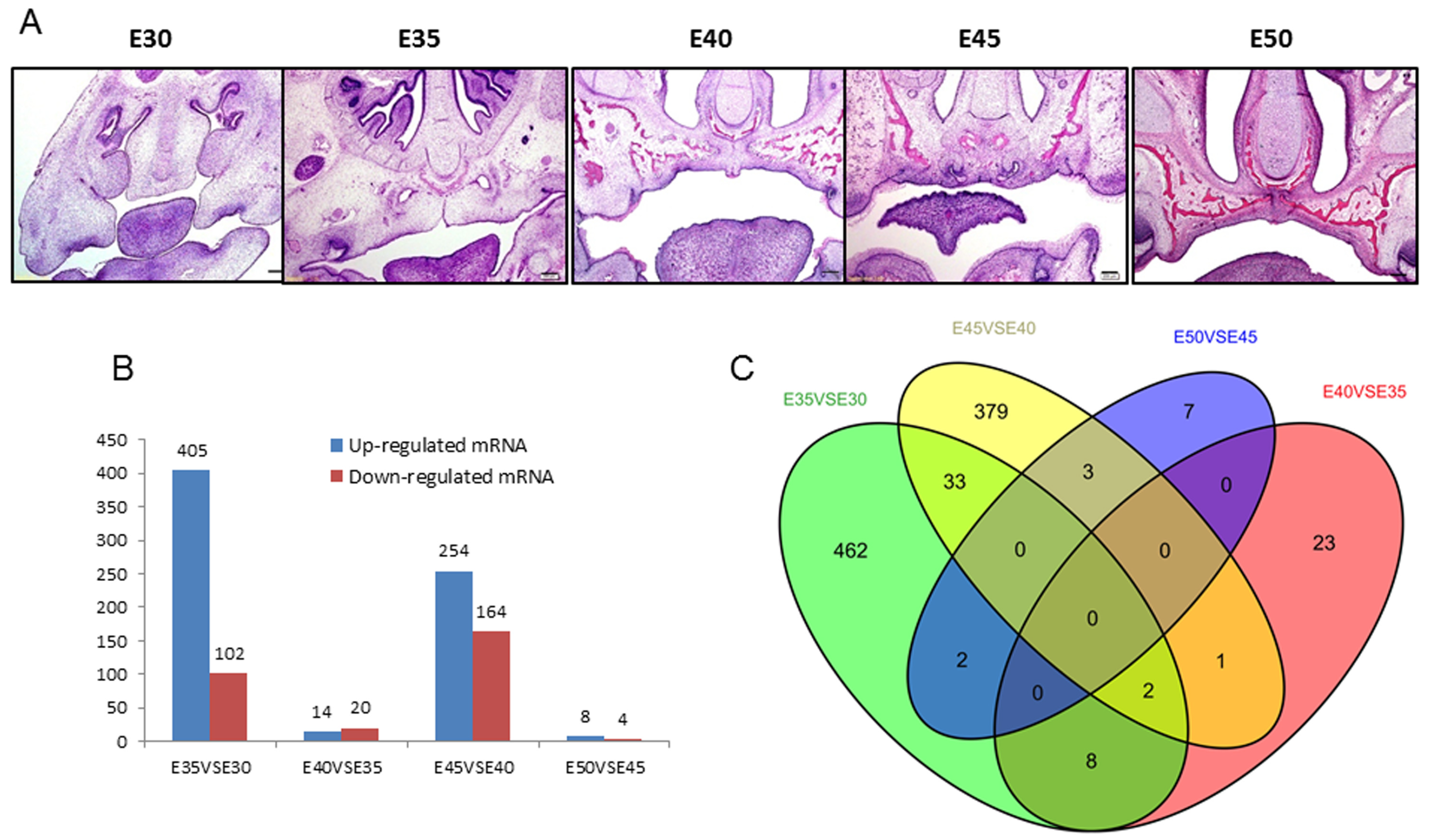 Ijms 20 04284 g001 Ijms 20 04284 g001