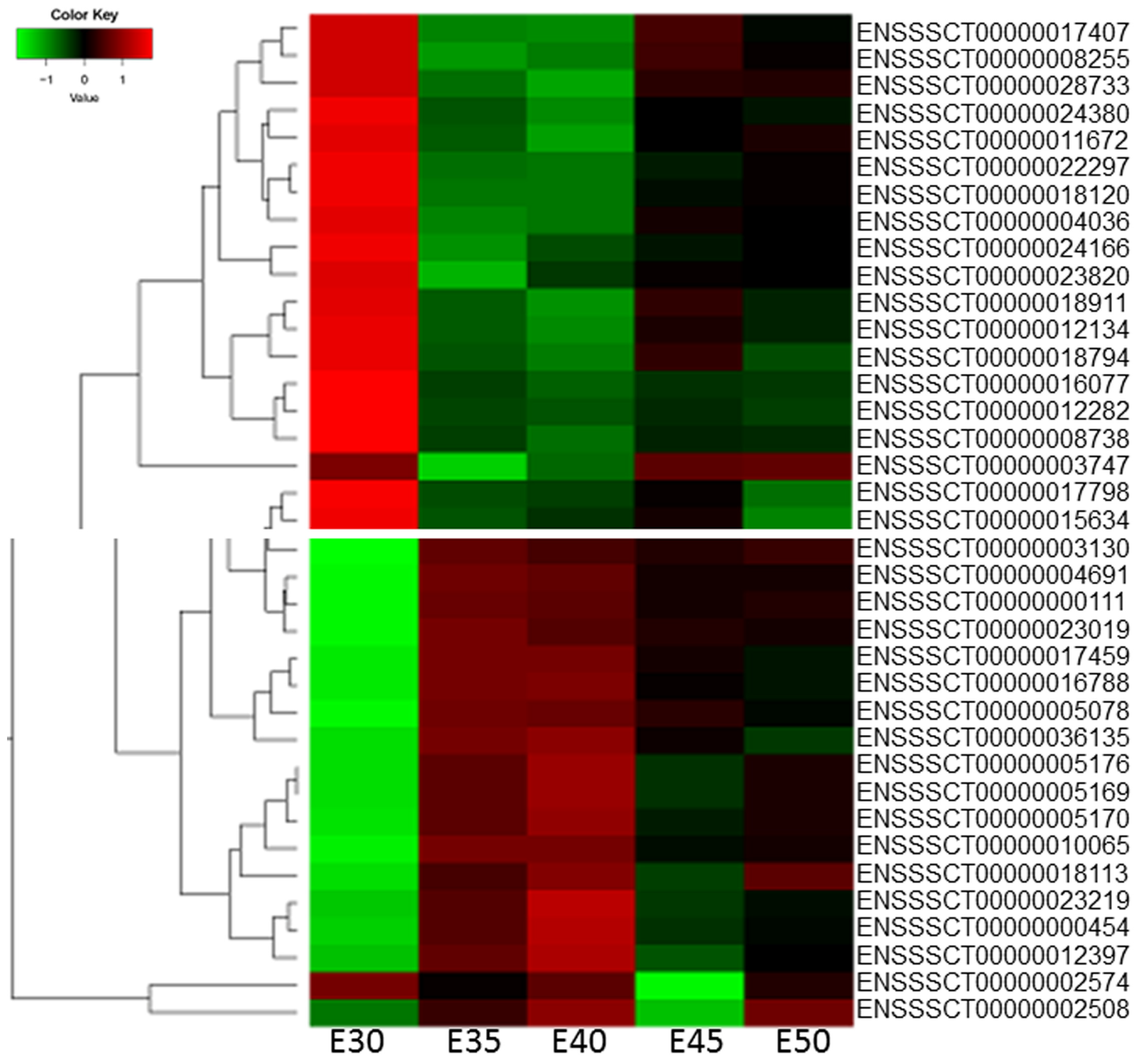 Ijms 20 04284 g002 Ijms 20 04284 g002