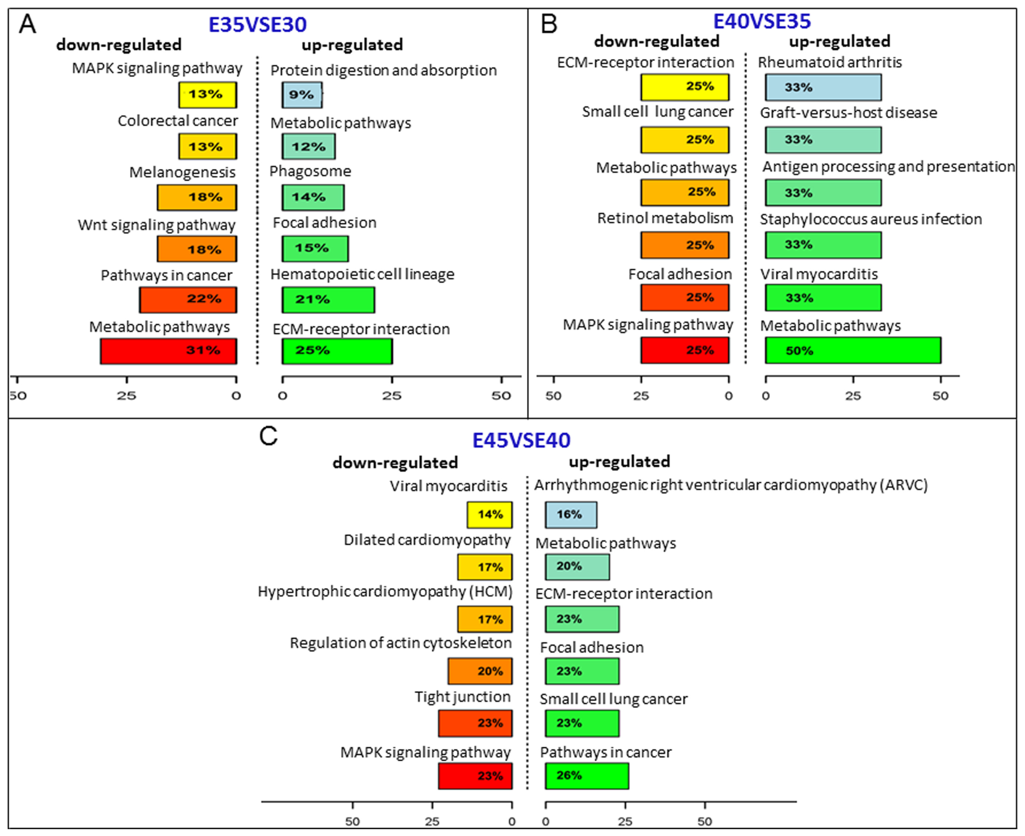 Ijms 20 04284 g004 Ijms 20 04284 g004
