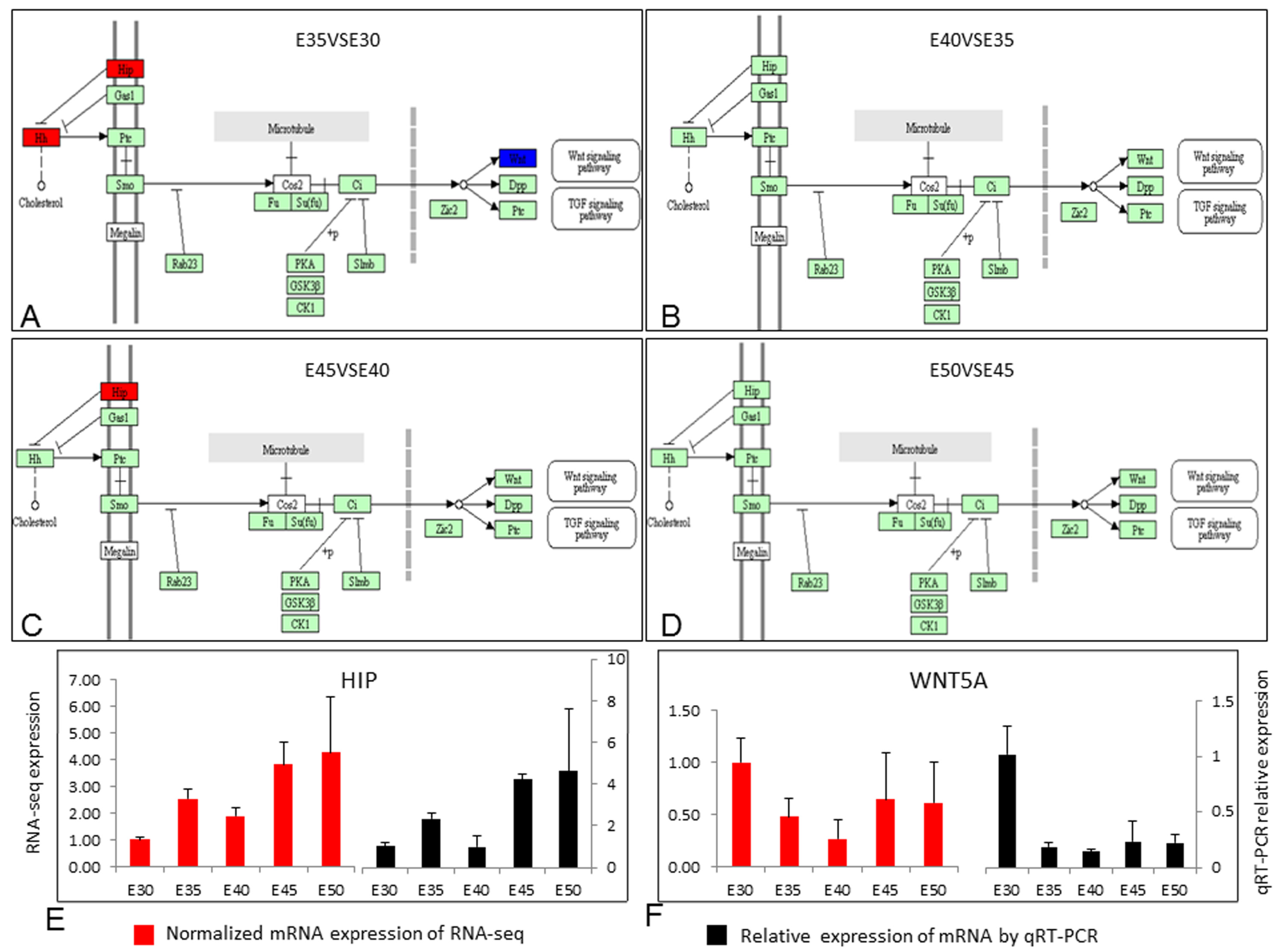 Ijms 20 04284 g005 Ijms 20 04284 g005