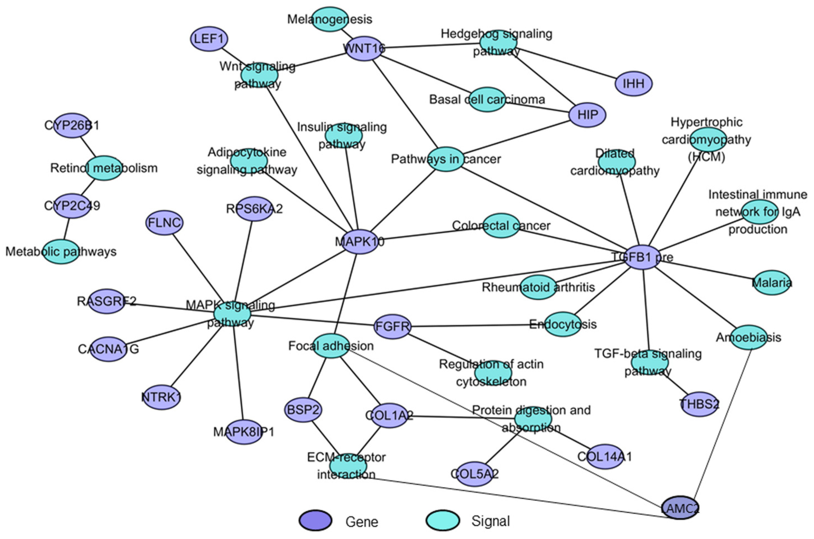 Ijms 20 04284 g007 Ijms 20 04284 g007