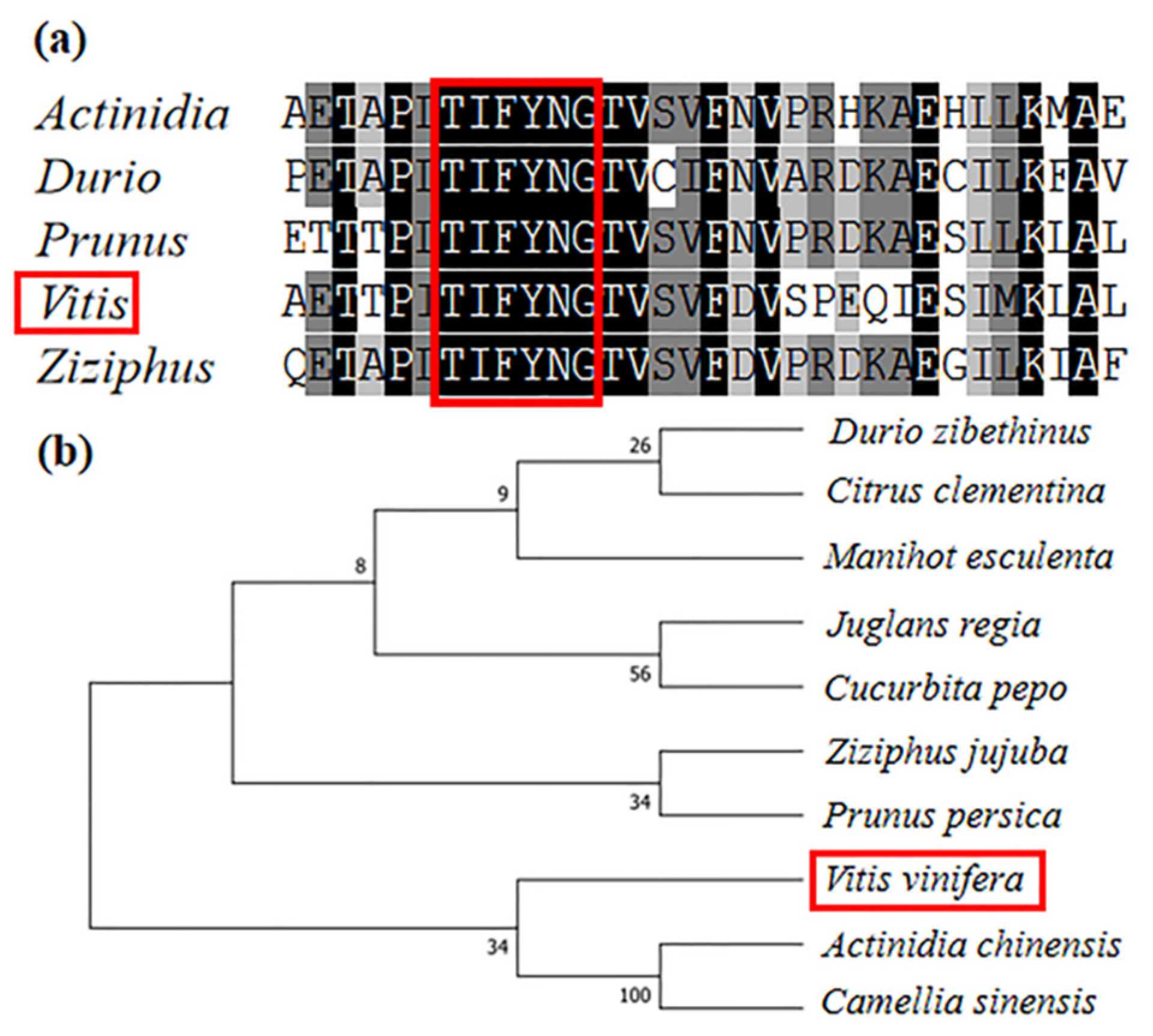 Ijms 20 04286 g001 Ijms 20 04286 g001