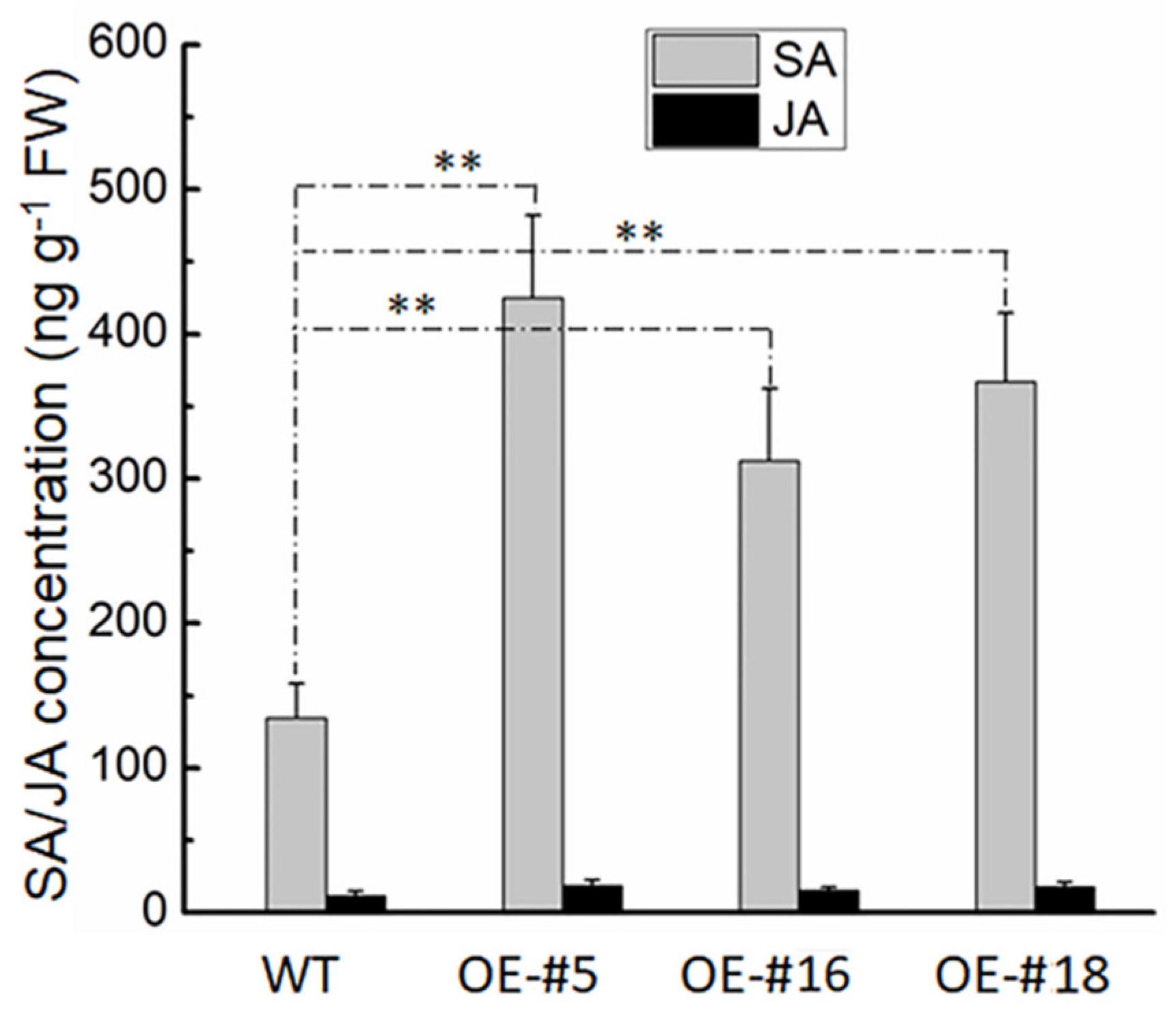 Ijms 20 04286 g006 Ijms 20 04286 g006