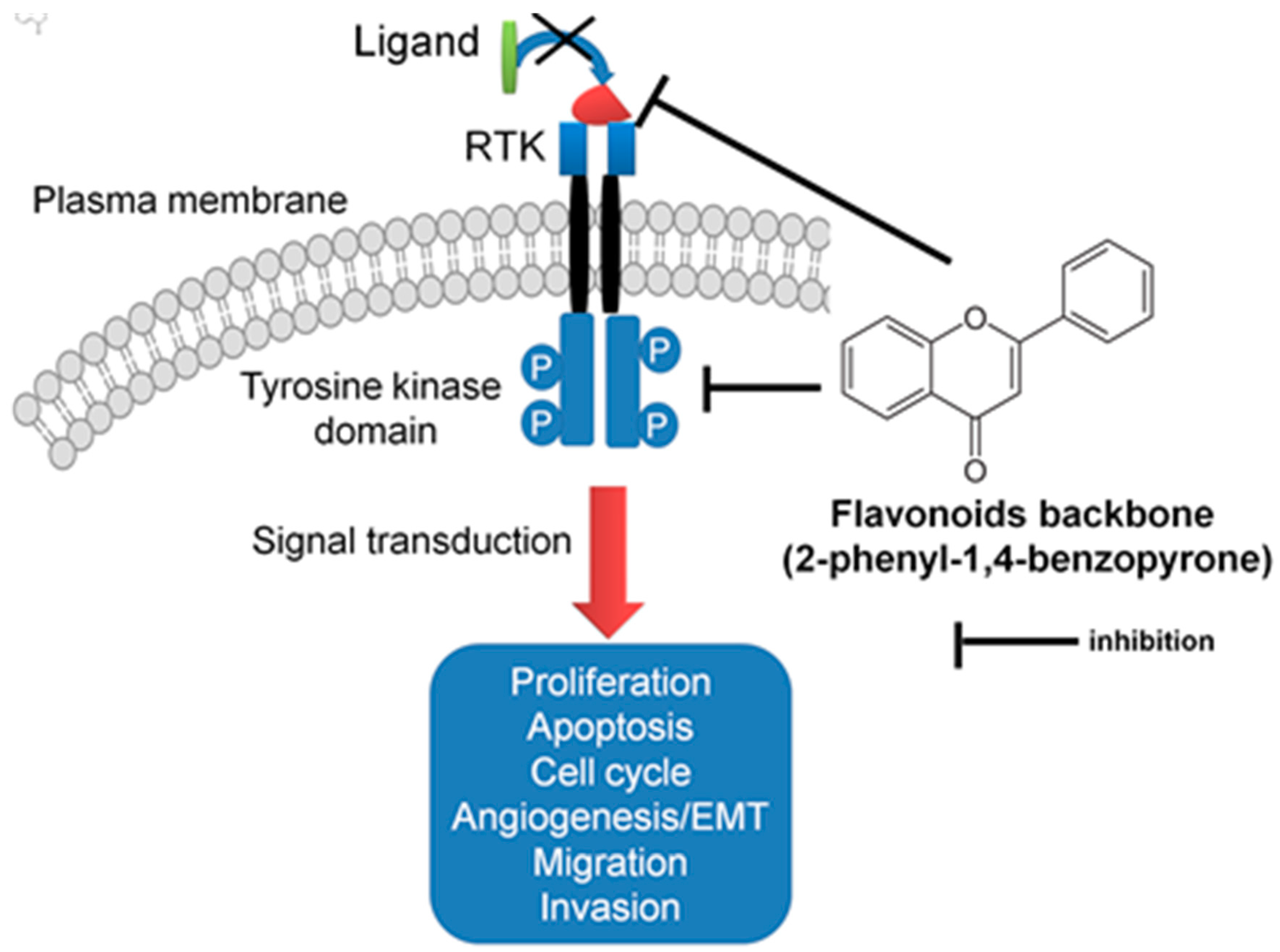Ijms 20 04291 g002 Ijms 20 04291 g002