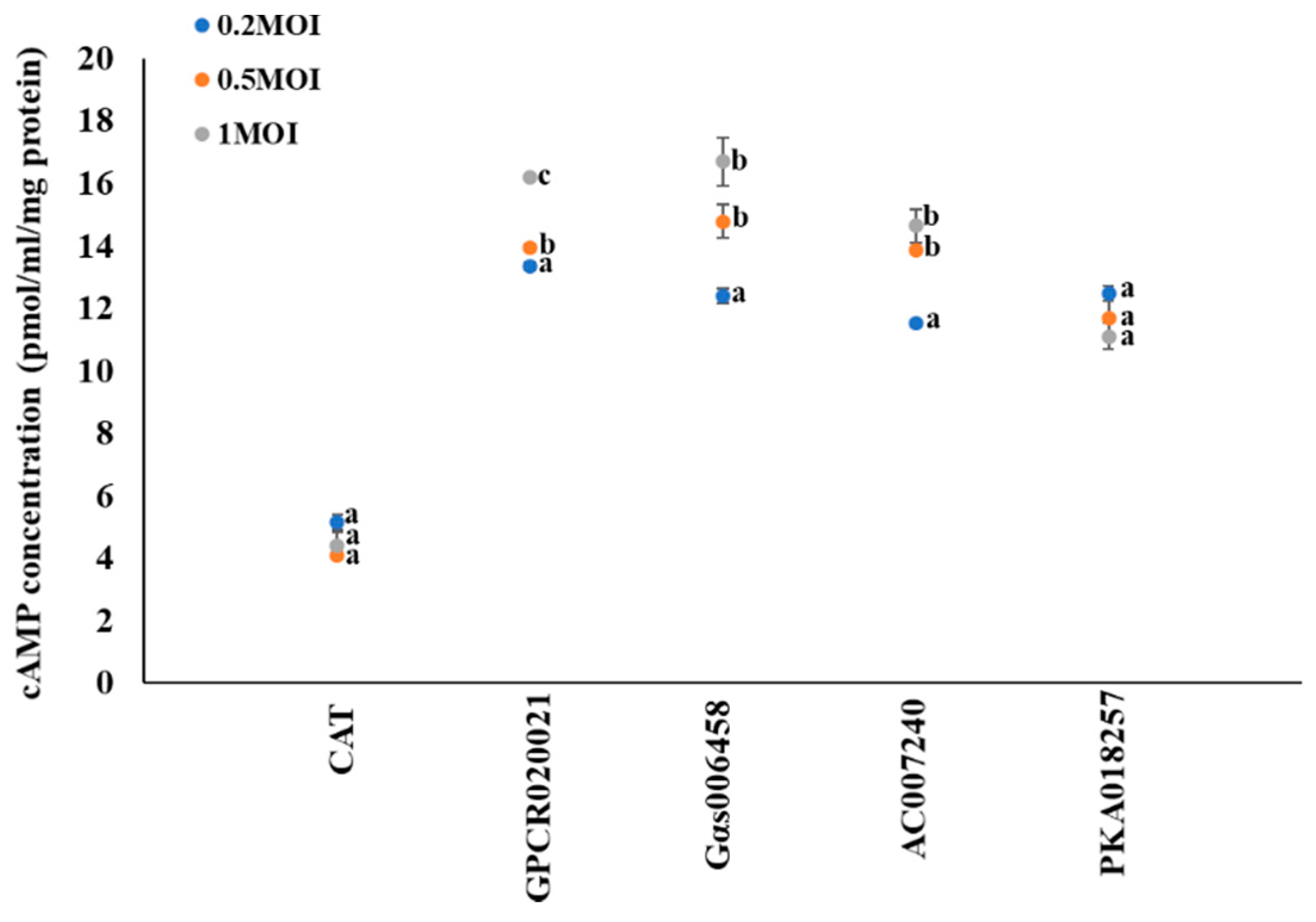 Ijms 20 04300 g001 Ijms 20 04300 g001