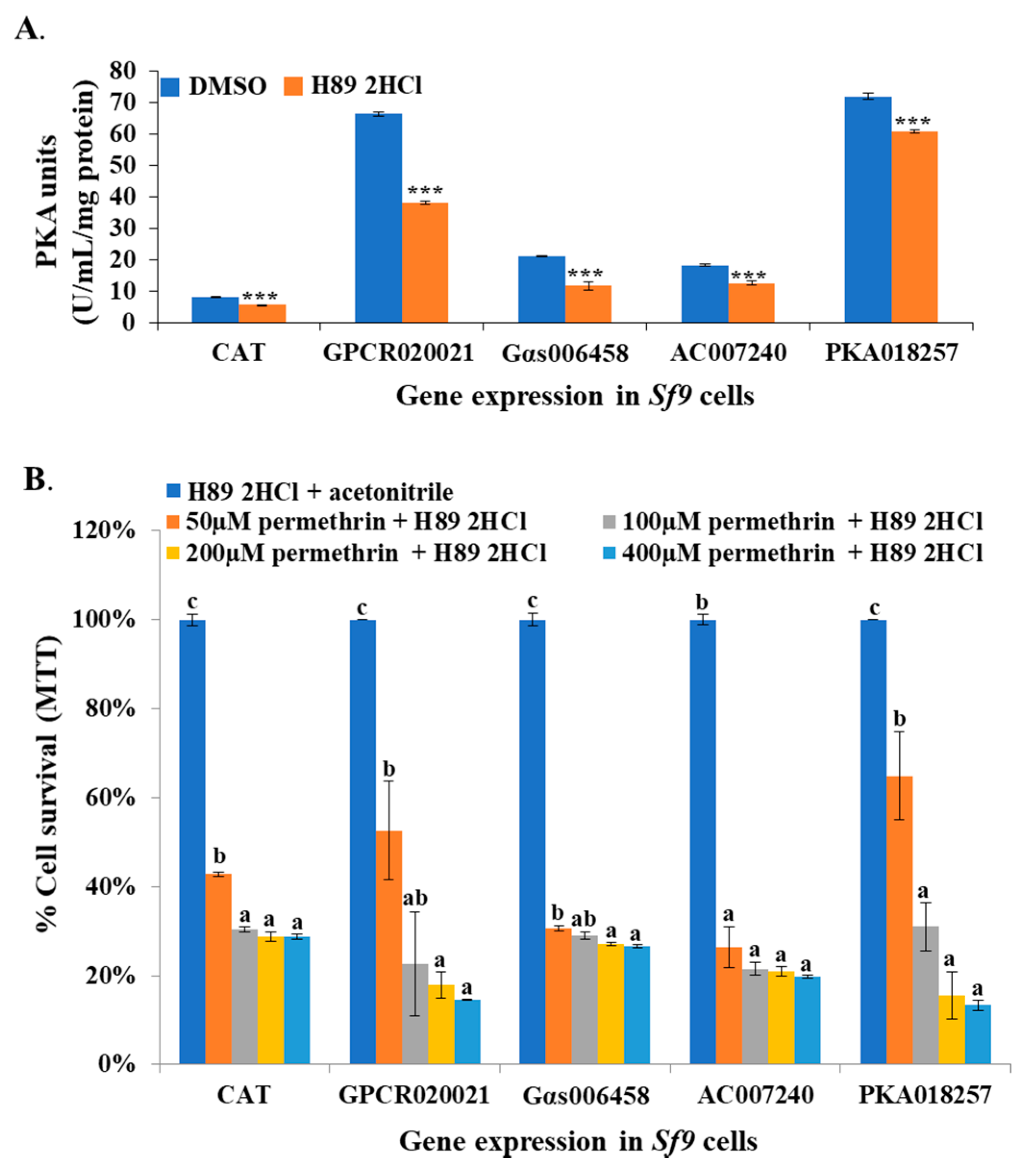 Ijms 20 04300 g005 Ijms 20 04300 g005