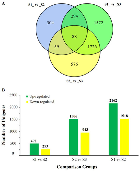 ijms september 1 2019 browse articles use the venn diagram to compare and contrast the definitions of the linnaean class