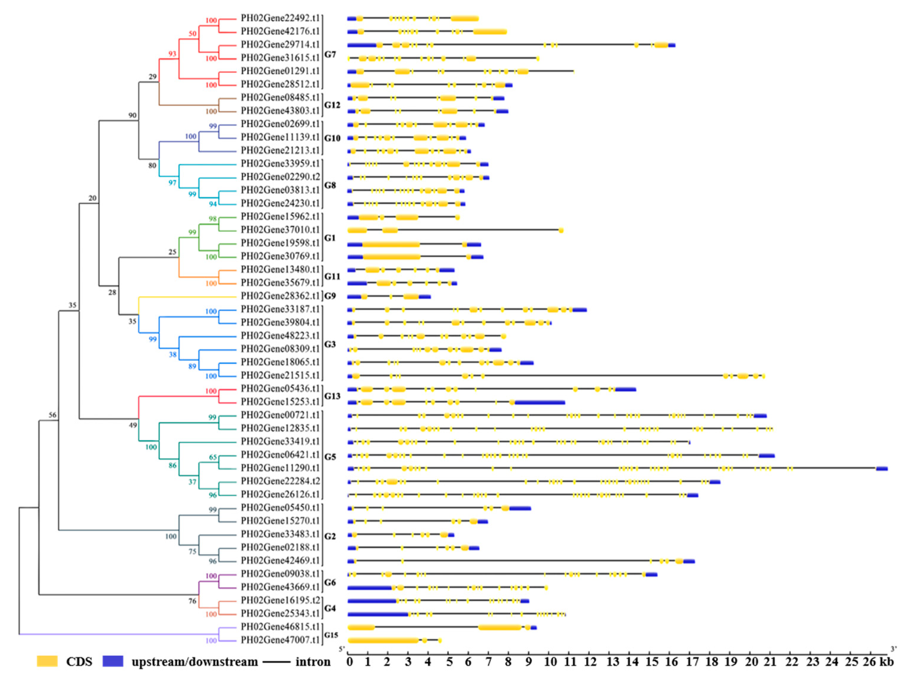 Ijms 20 04309 g003 Ijms 20 04309 g003