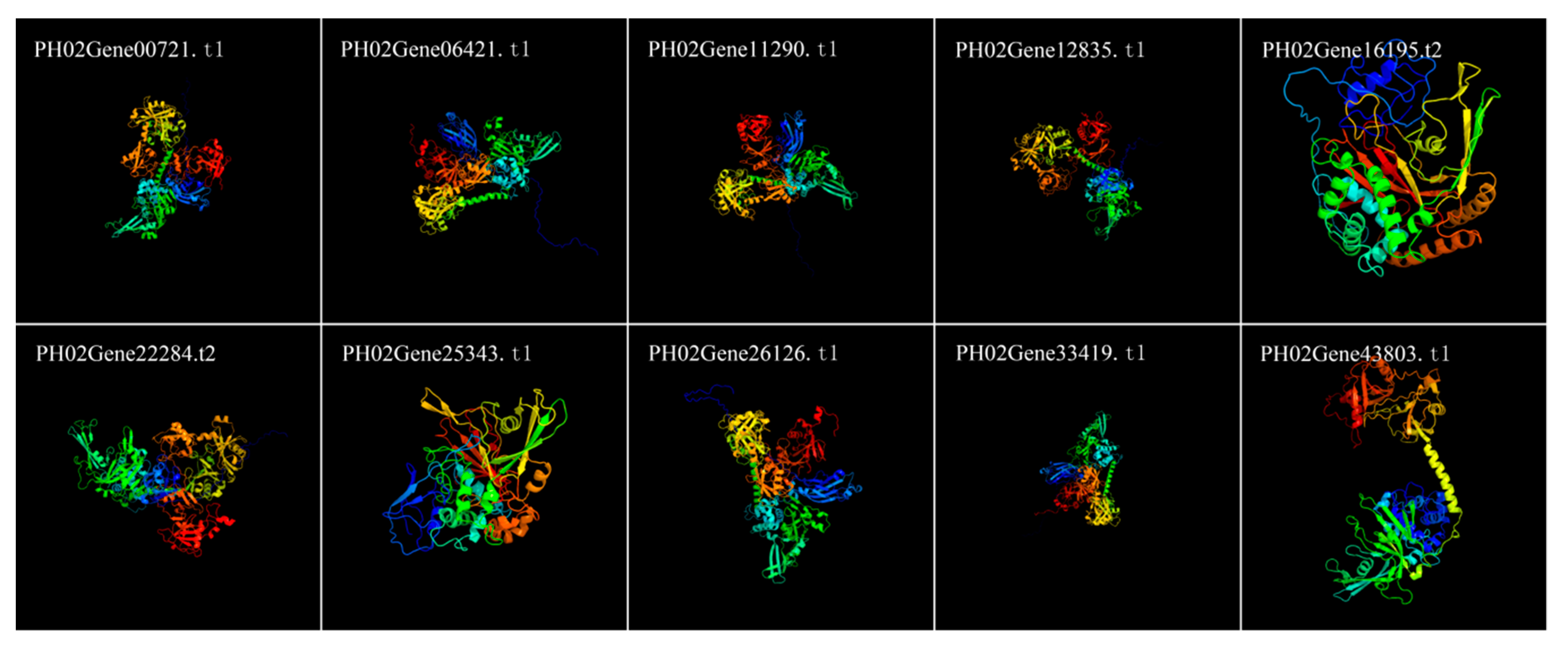 Ijms 20 04309 g005 Ijms 20 04309 g005