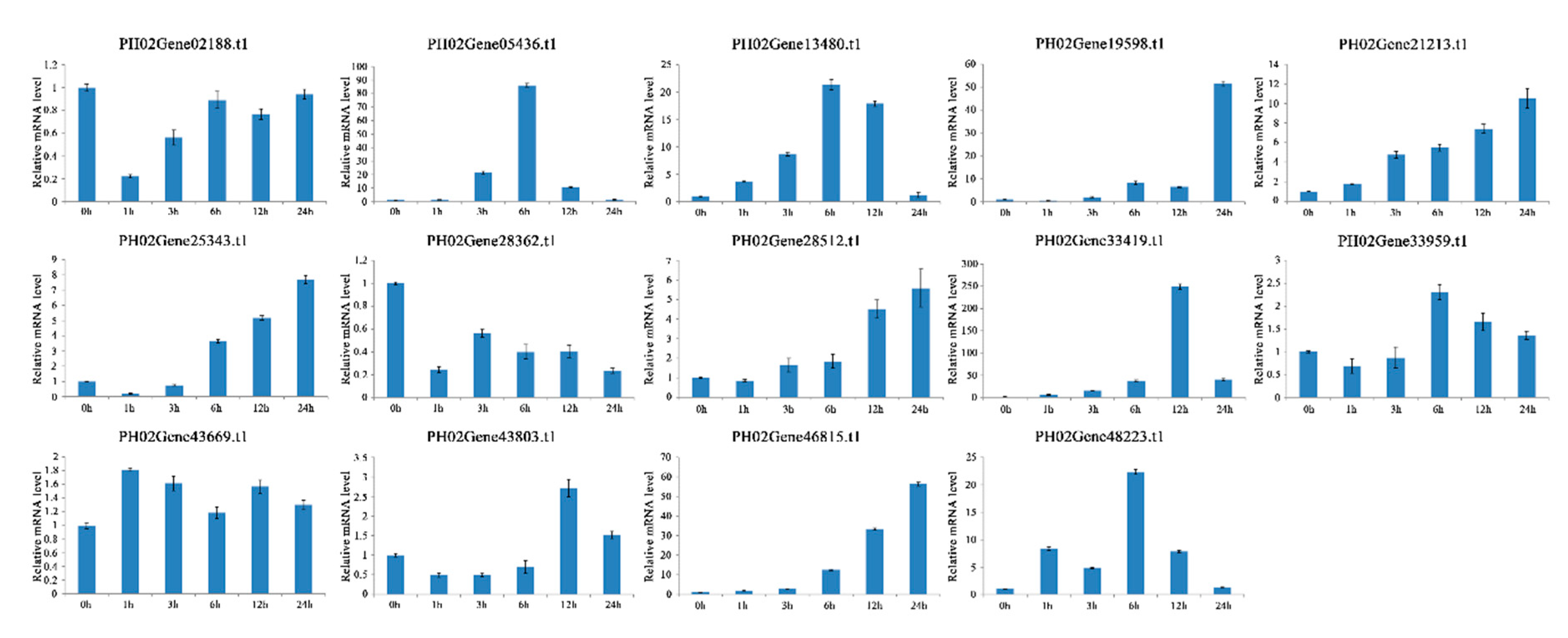 Ijms 20 04309 g009 Ijms 20 04309 g009