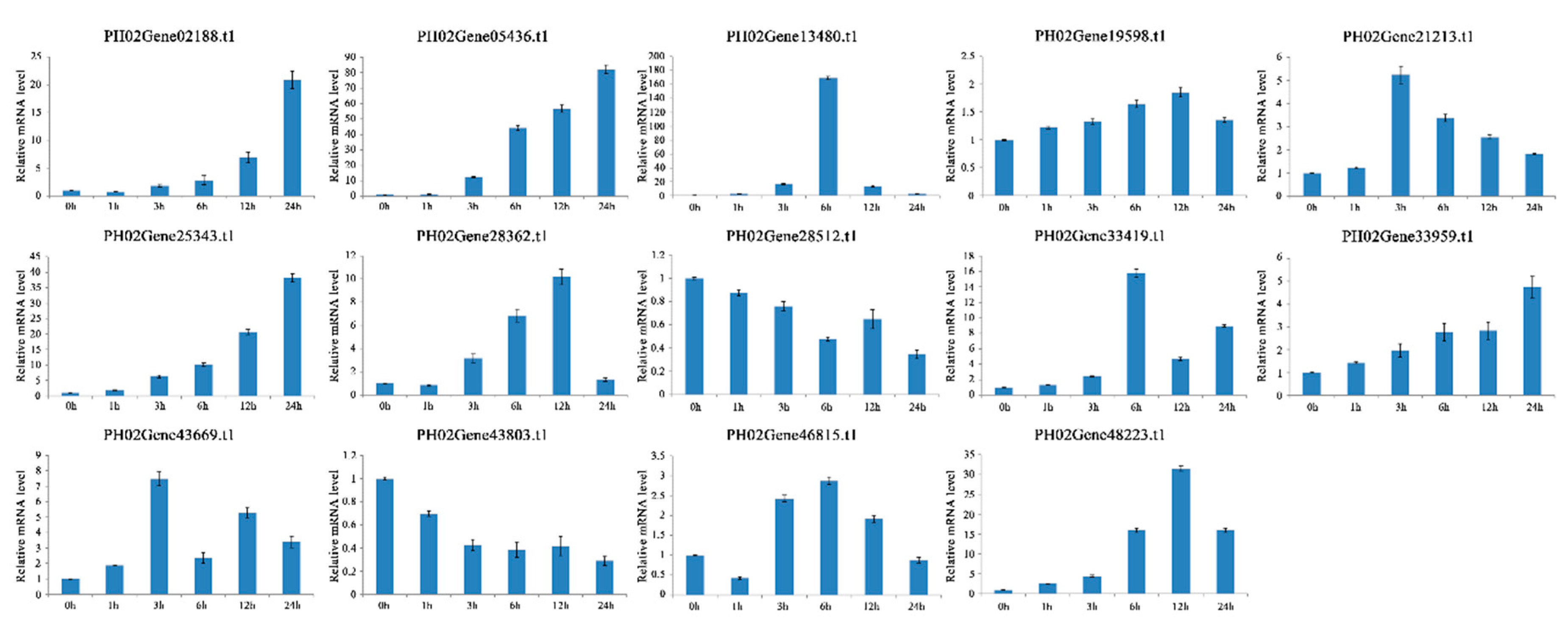 Ijms 20 04309 g010 Ijms 20 04309 g010