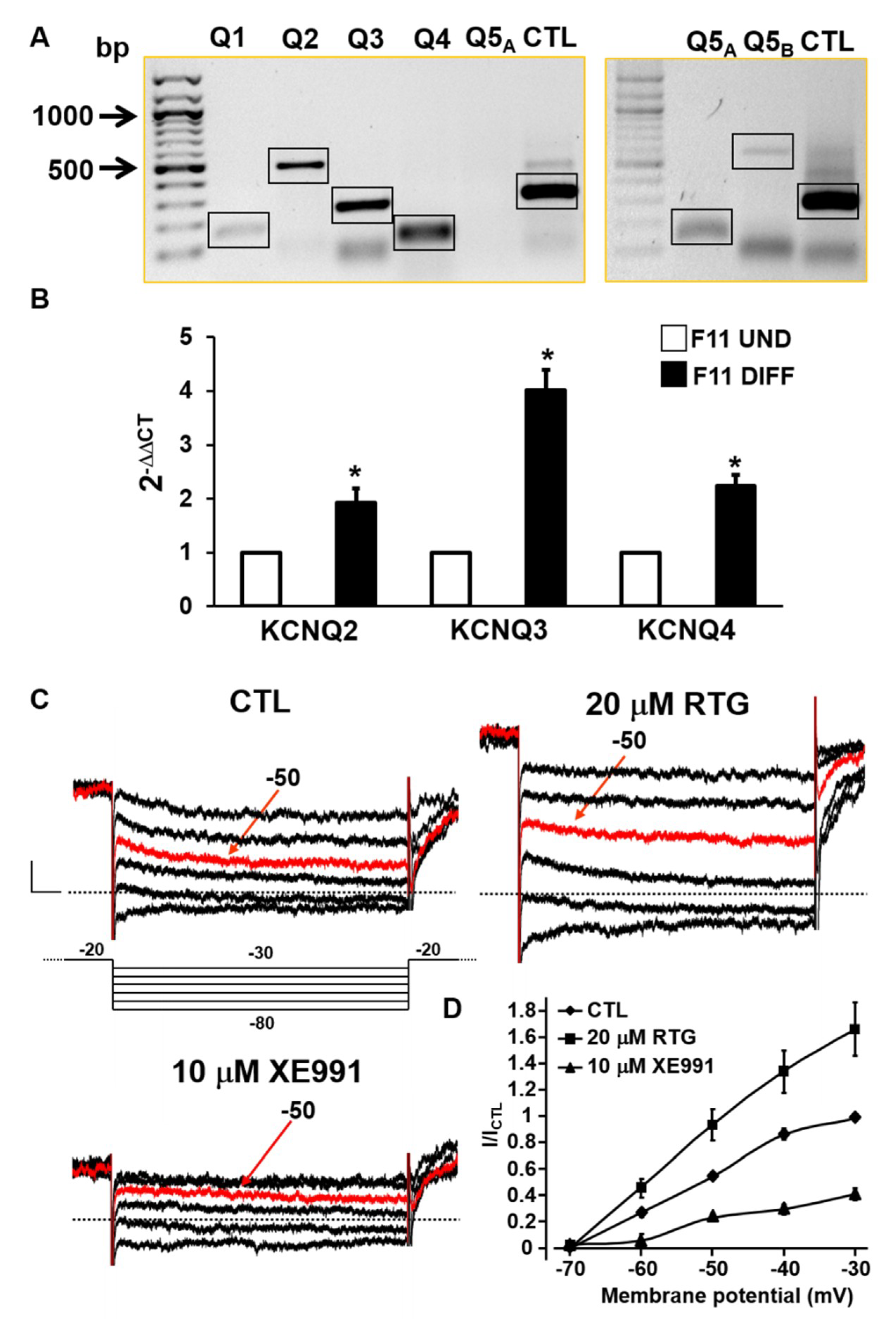 Ijms 20 04322 g001 Ijms 20 04322 g001