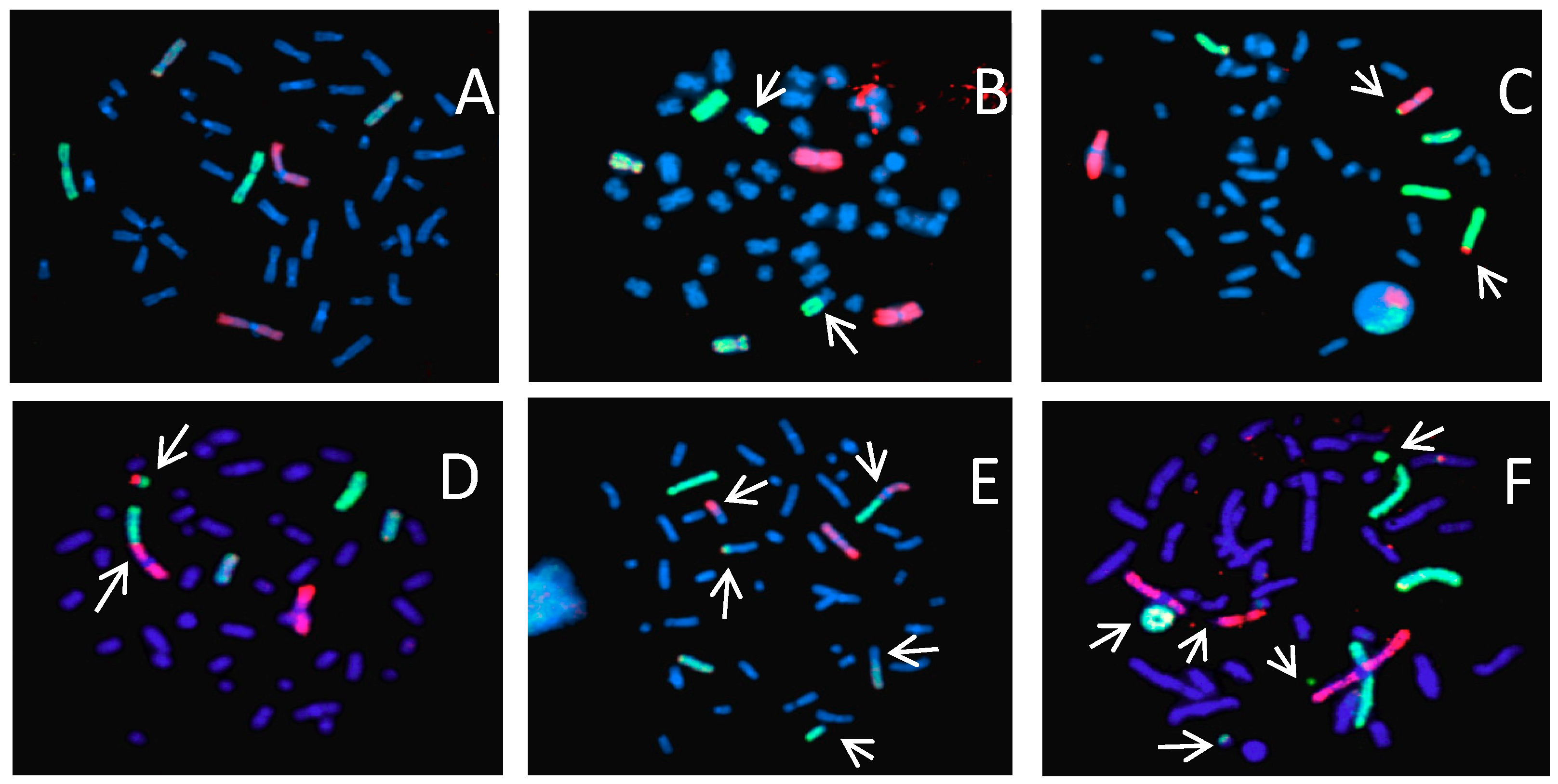 Ijms 20 04327 g001 Ijms 20 04327 g001