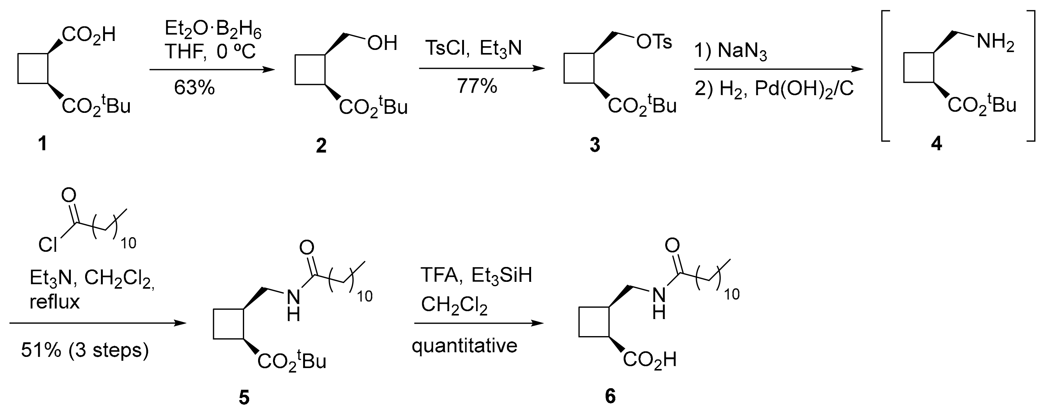 Ijms 20 04333 sch002 550
