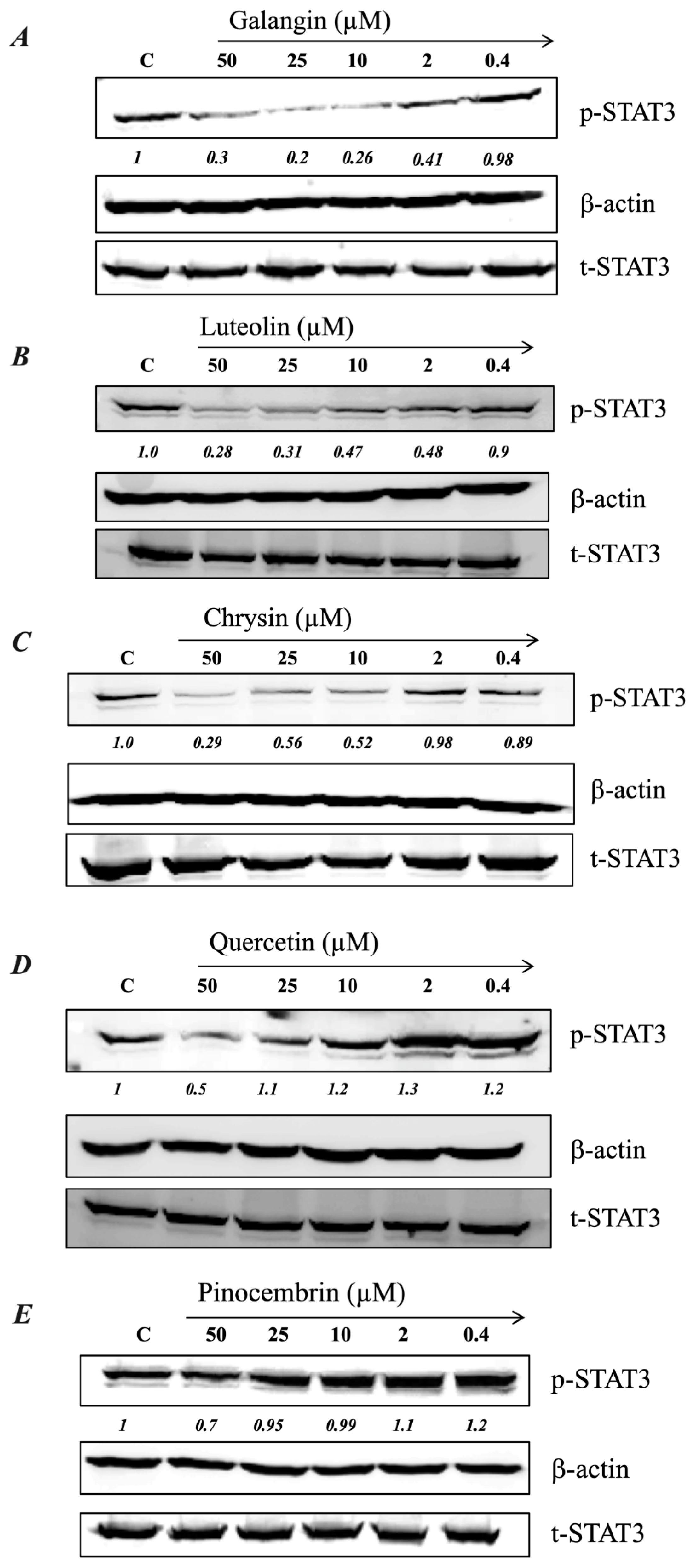Ijms 20 04340 g005