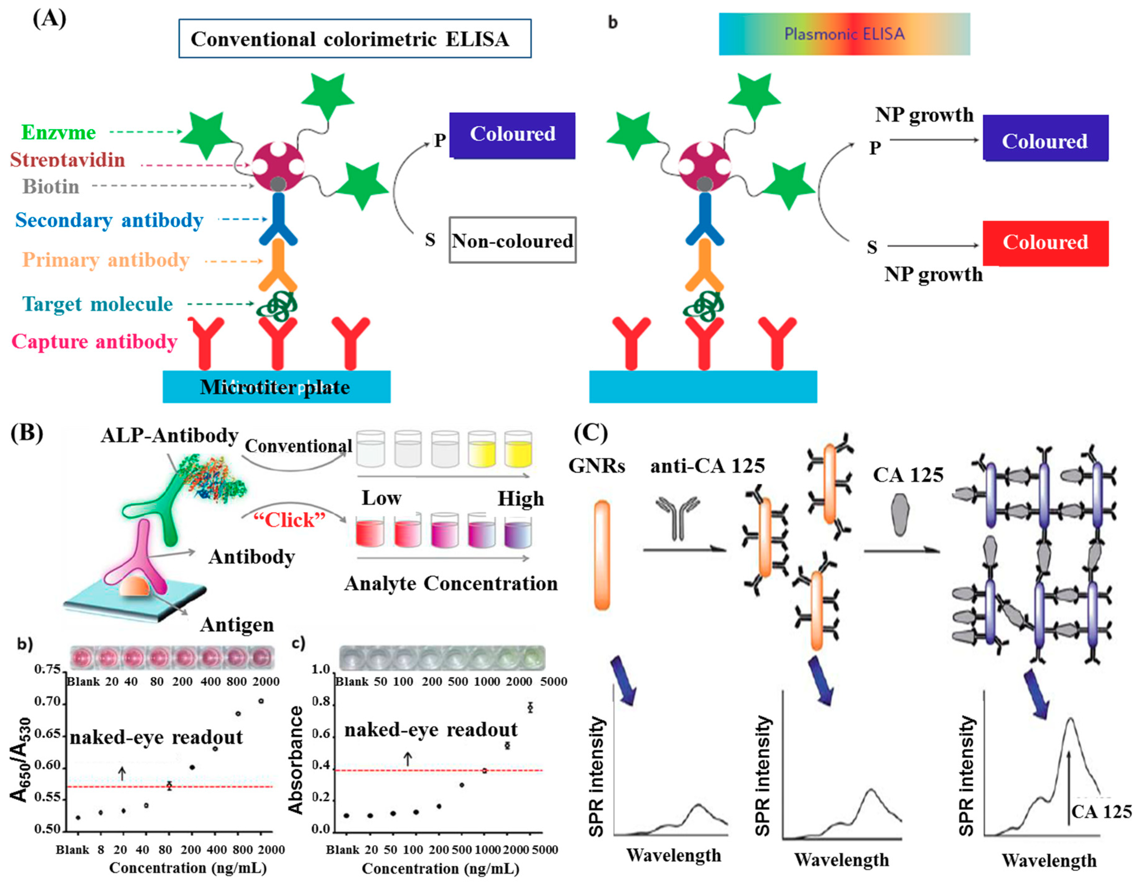 Ijms 20 04346 g003 Ijms 20 04346 g003