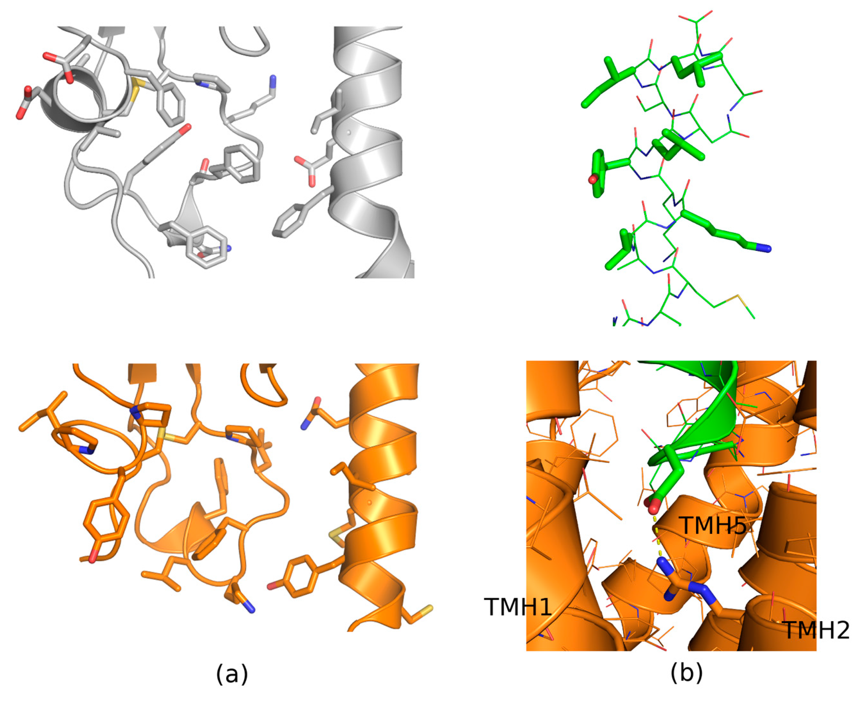 Ijms 20 04348 g002 Ijms 20 04348 g002