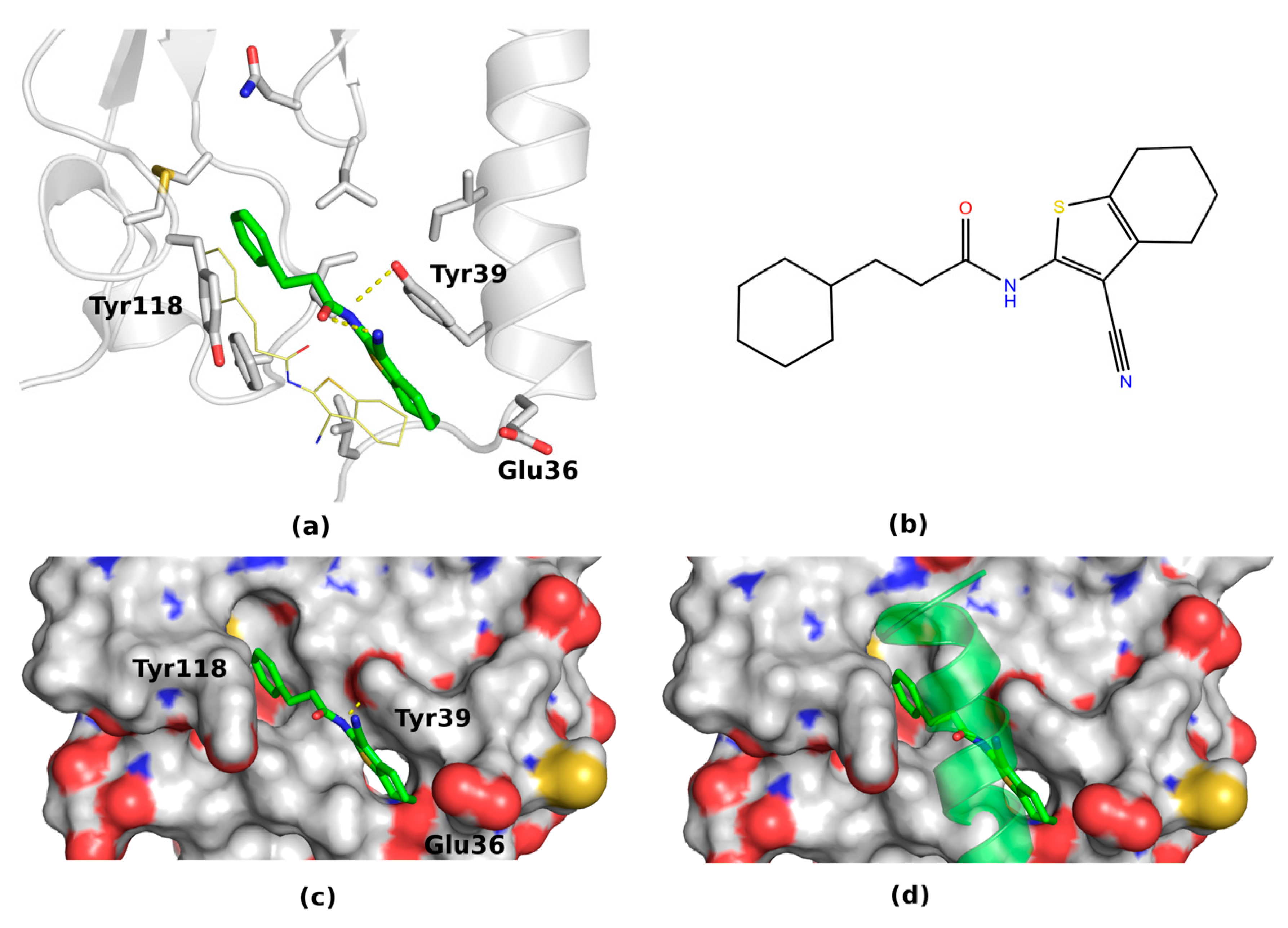 Ijms 20 04348 g006 Ijms 20 04348 g006