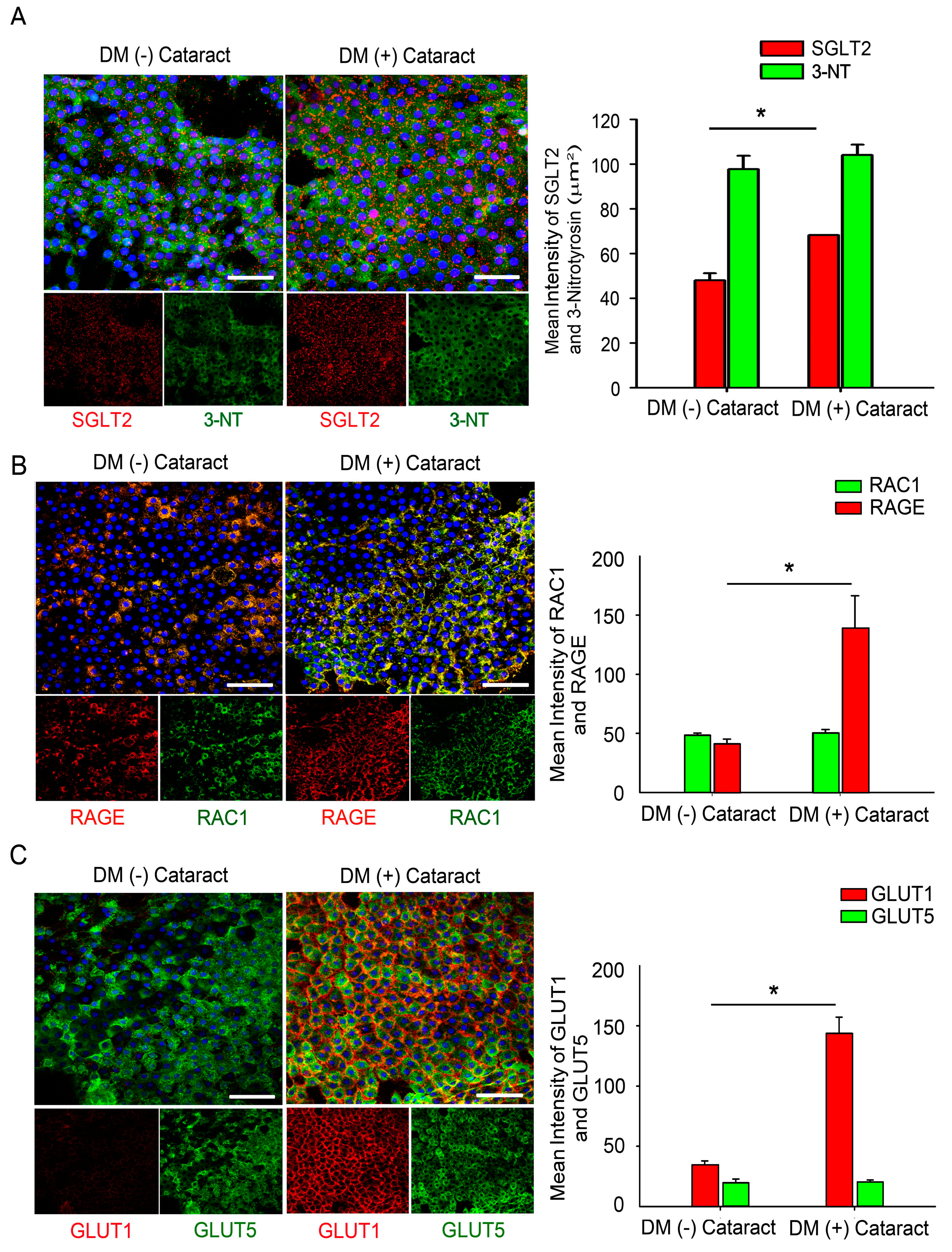 Ijms 20 04357 g001 Ijms 20 04357 g001