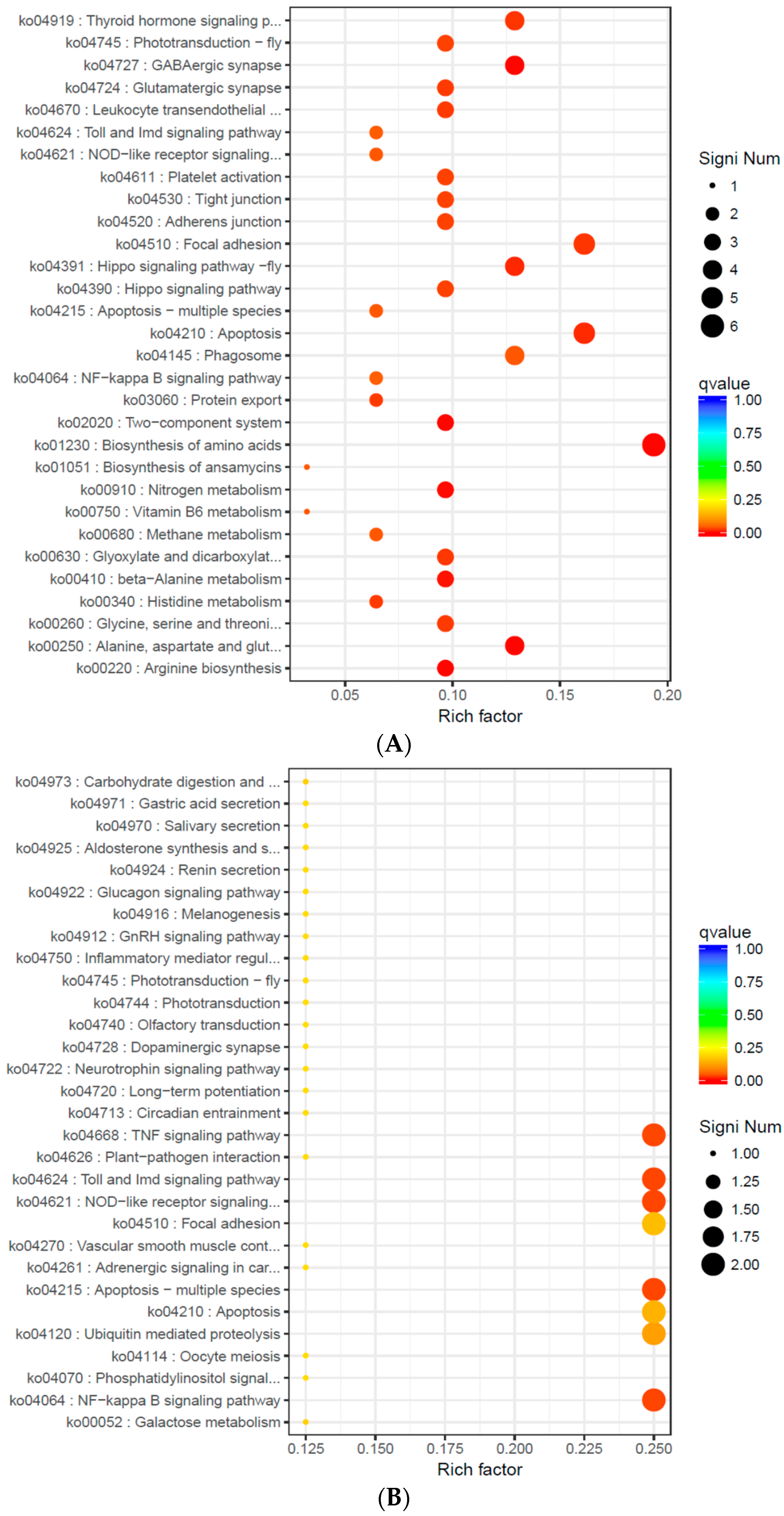 Ijms 20 04365 g004a Ijms 20 04365 g004a