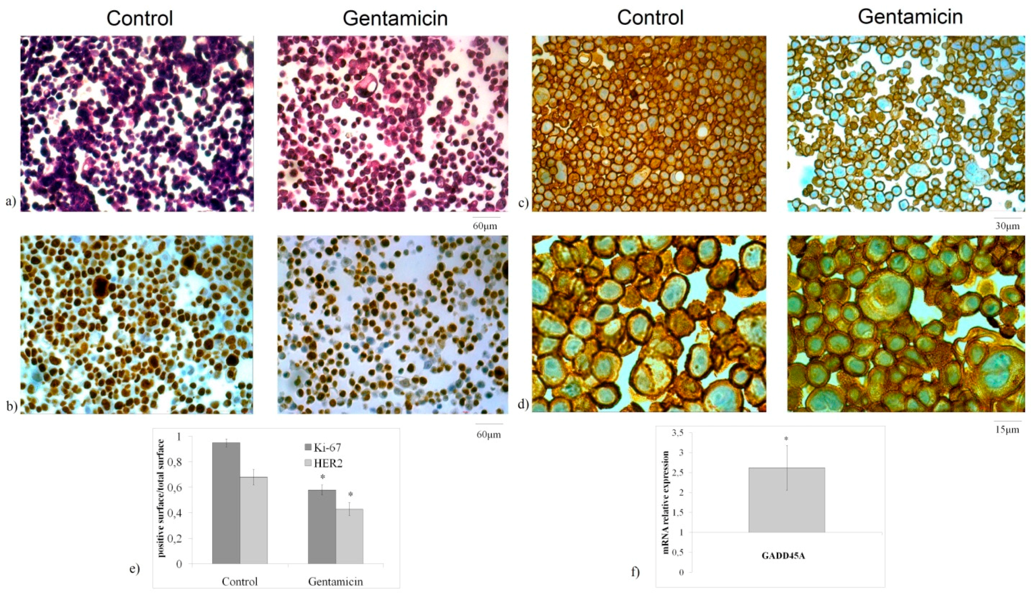 Ijms 20 04375 g002 Ijms 20 04375 g002