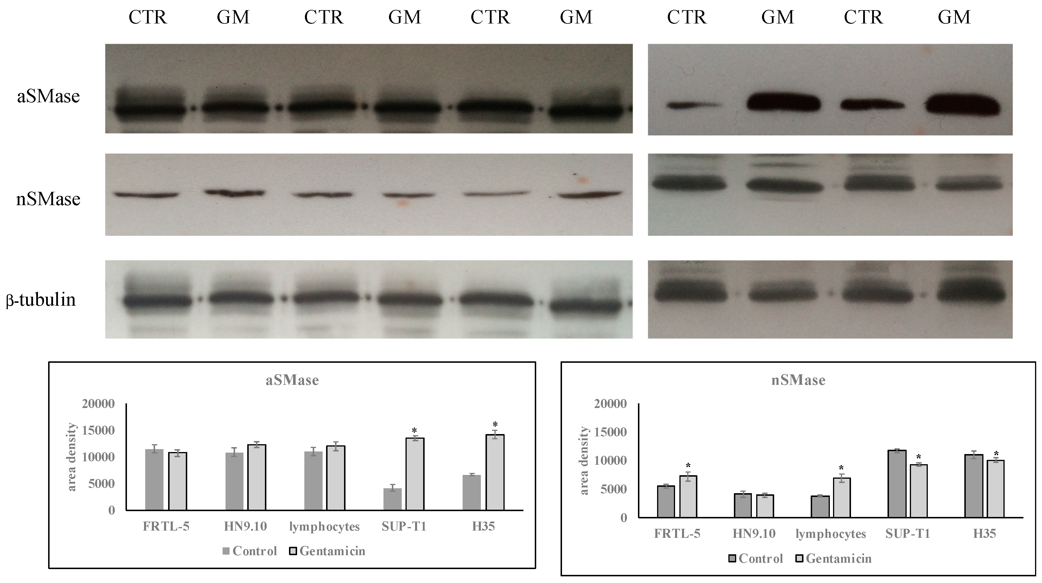 Ijms 20 04375 g007 Ijms 20 04375 g007