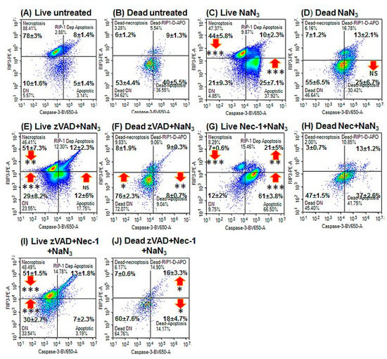 Flow Cytometry Reveals the Nature of Oncotic Cells