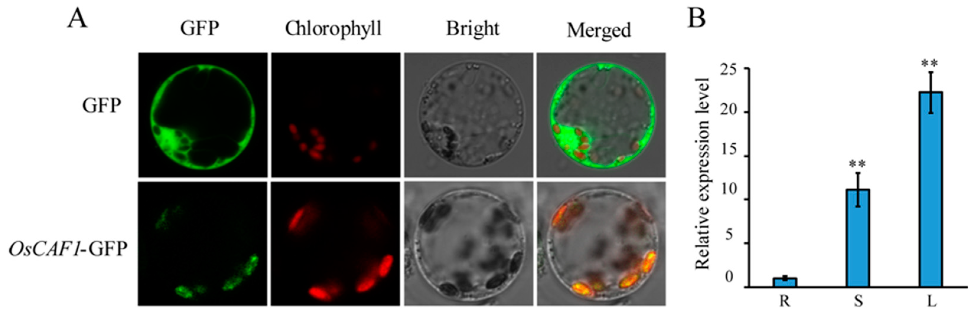 Ijms 20 04386 g006 Ijms 20 04386 g006
