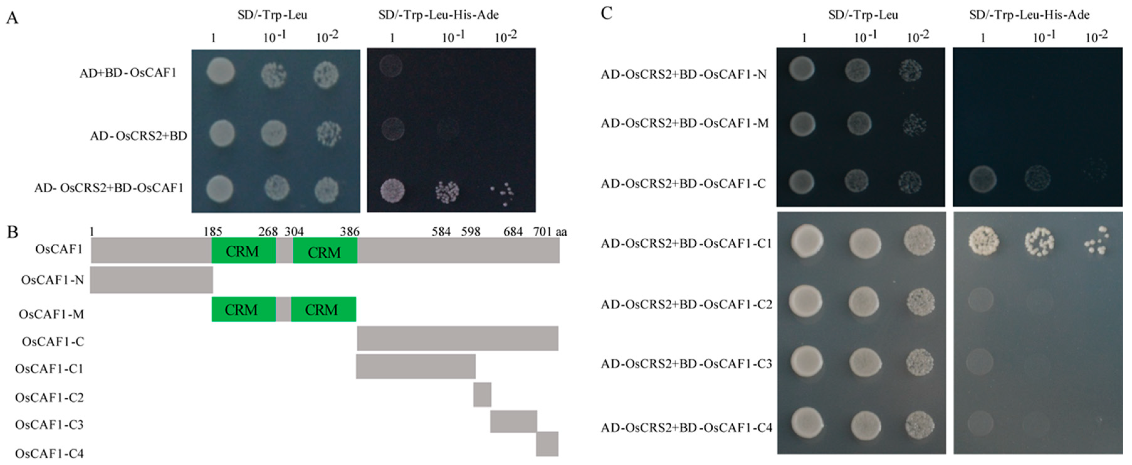 Ijms 20 04386 g007 Ijms 20 04386 g007