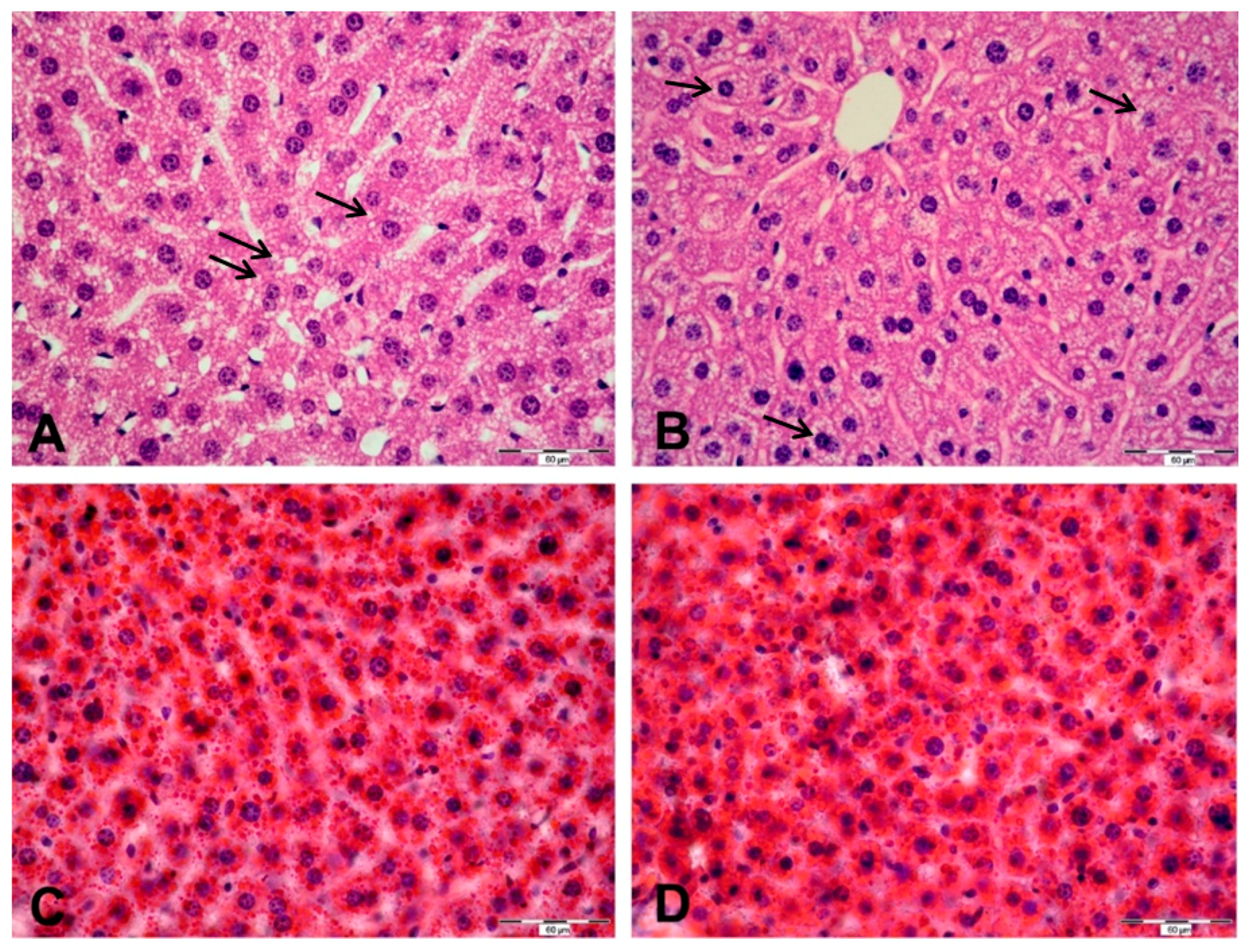 Ijms 20 04389 g007 Ijms 20 04389 g007