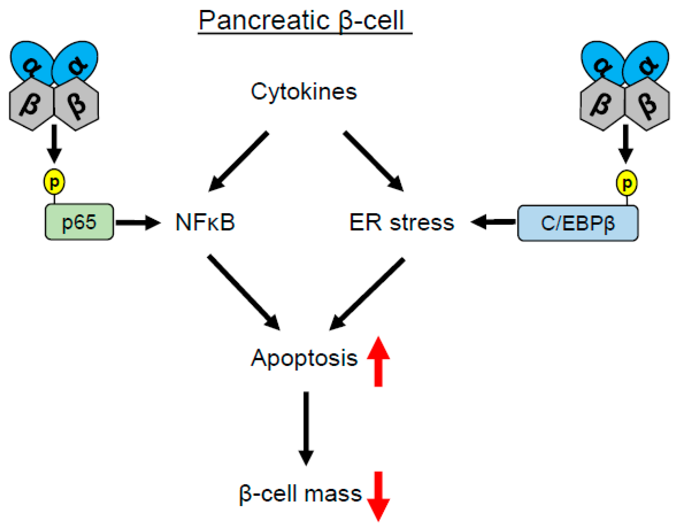 Ijms 20 04398 g001 Ijms 20 04398 g001