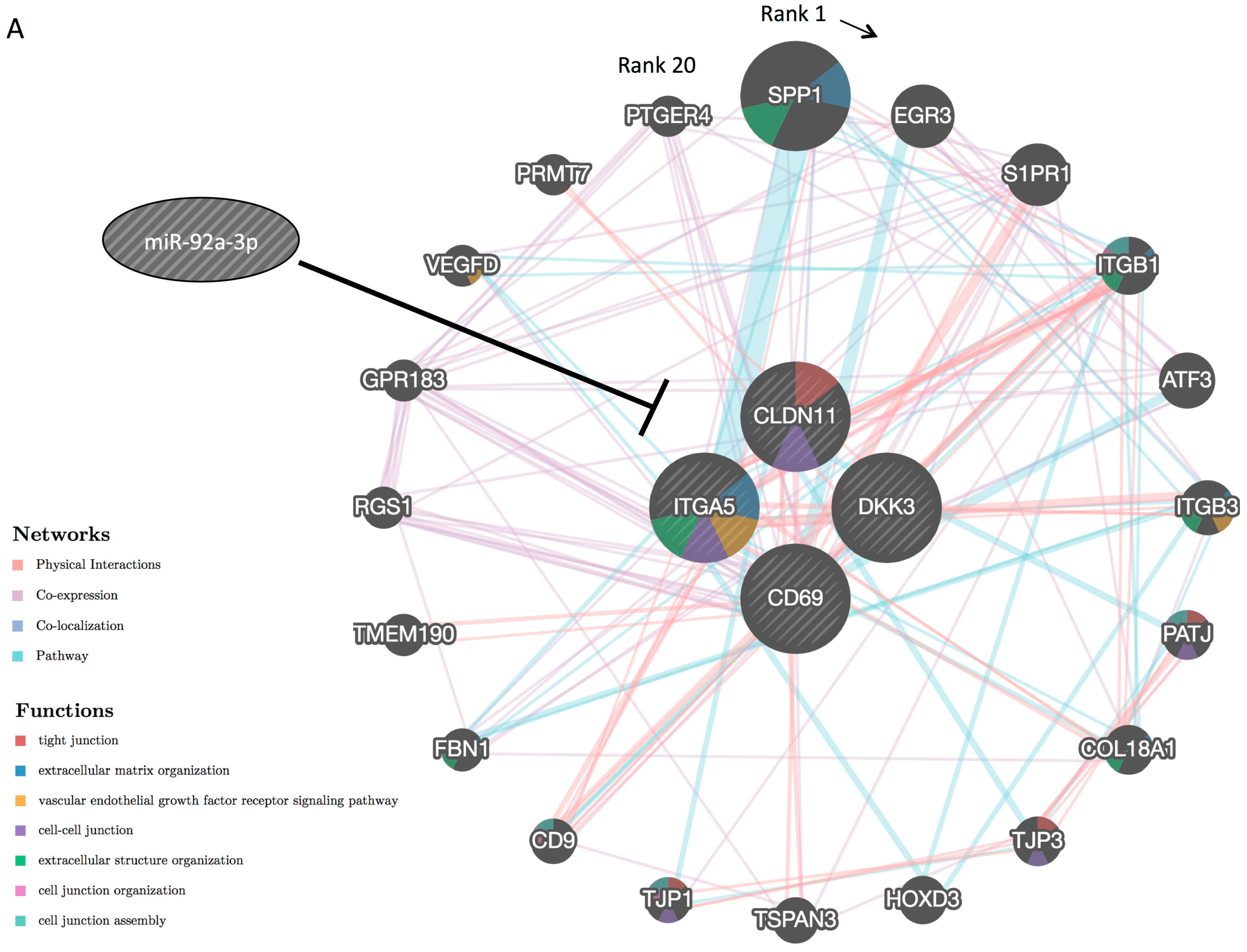 Ijms 20 04406 g005a Ijms 20 04406 g005a