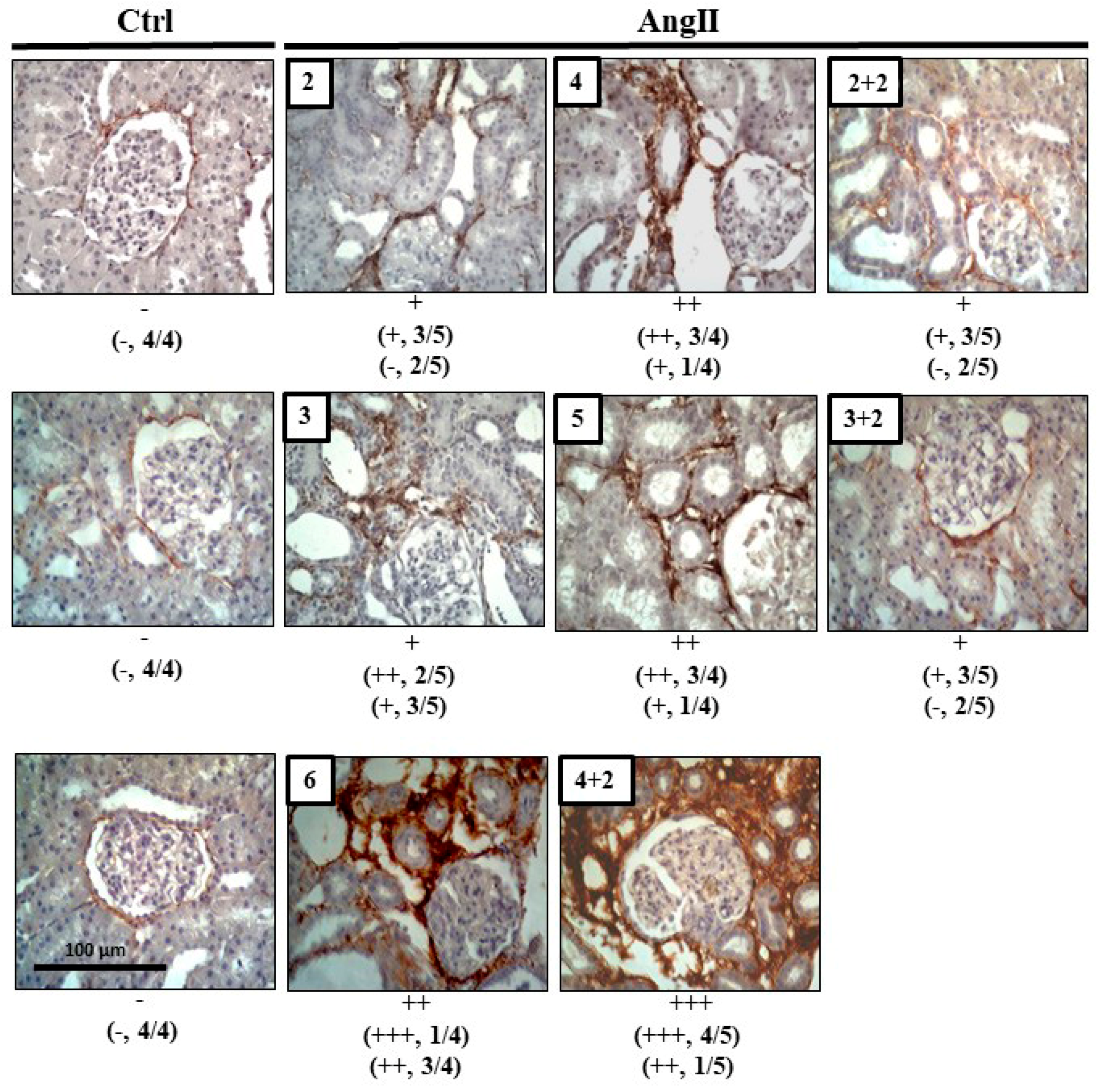 Ijms 20 04408 g005