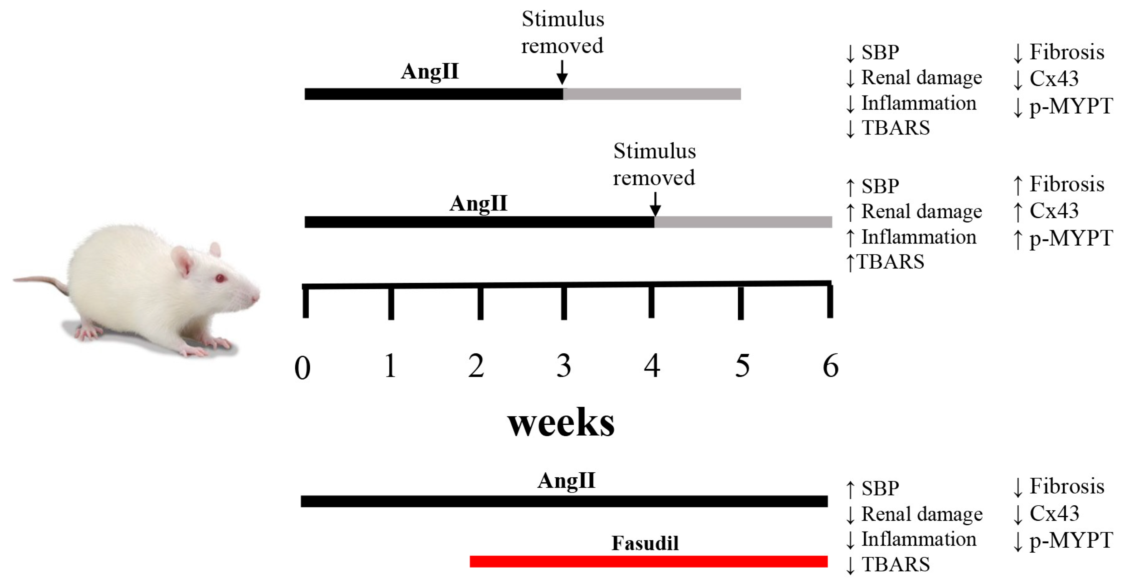 Ijms 20 04408 g008