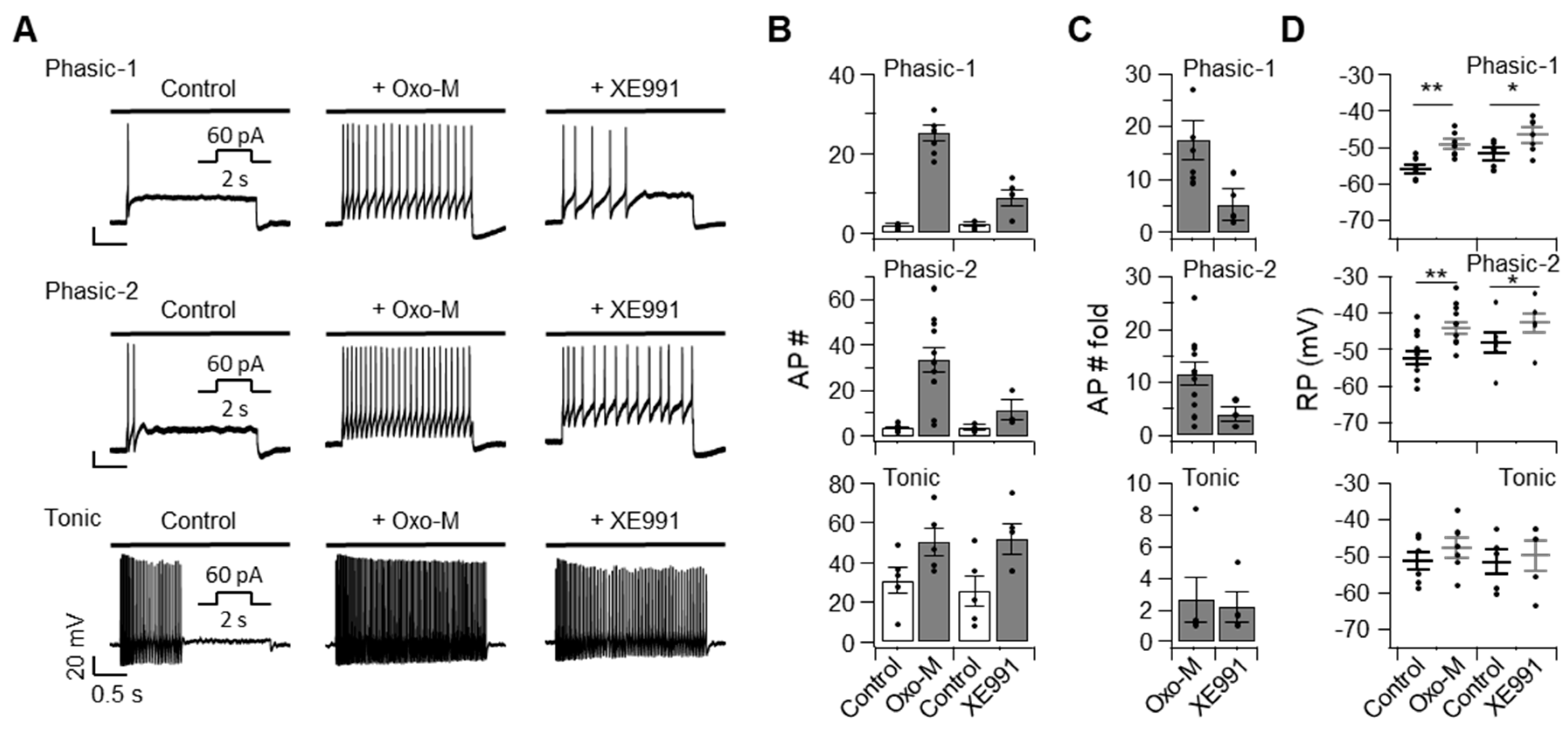 Ijms 20 04419 g002 Ijms 20 04419 g002