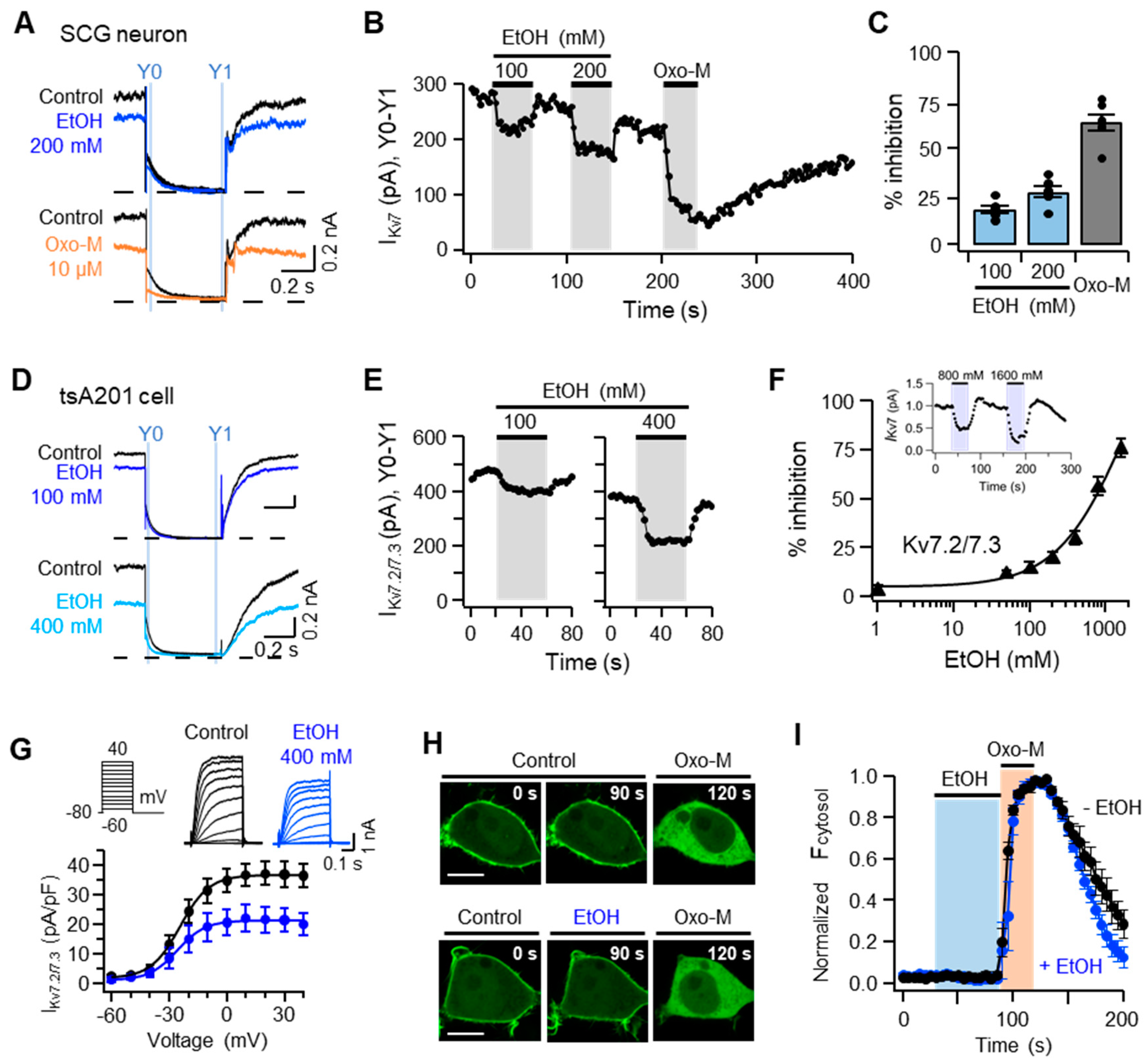 Ijms 20 04419 g004 Ijms 20 04419 g004