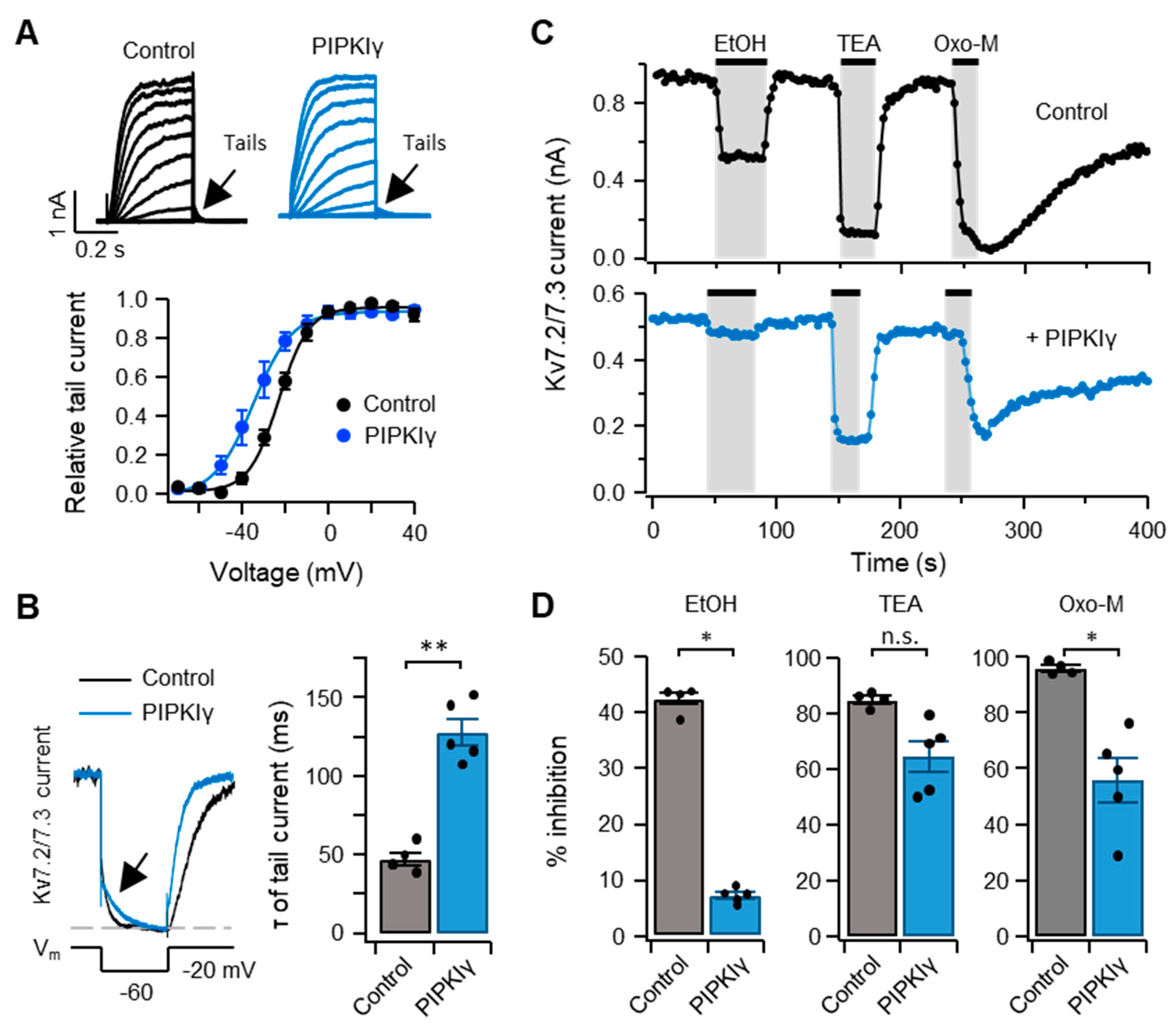 Ijms 20 04419 g005 Ijms 20 04419 g005