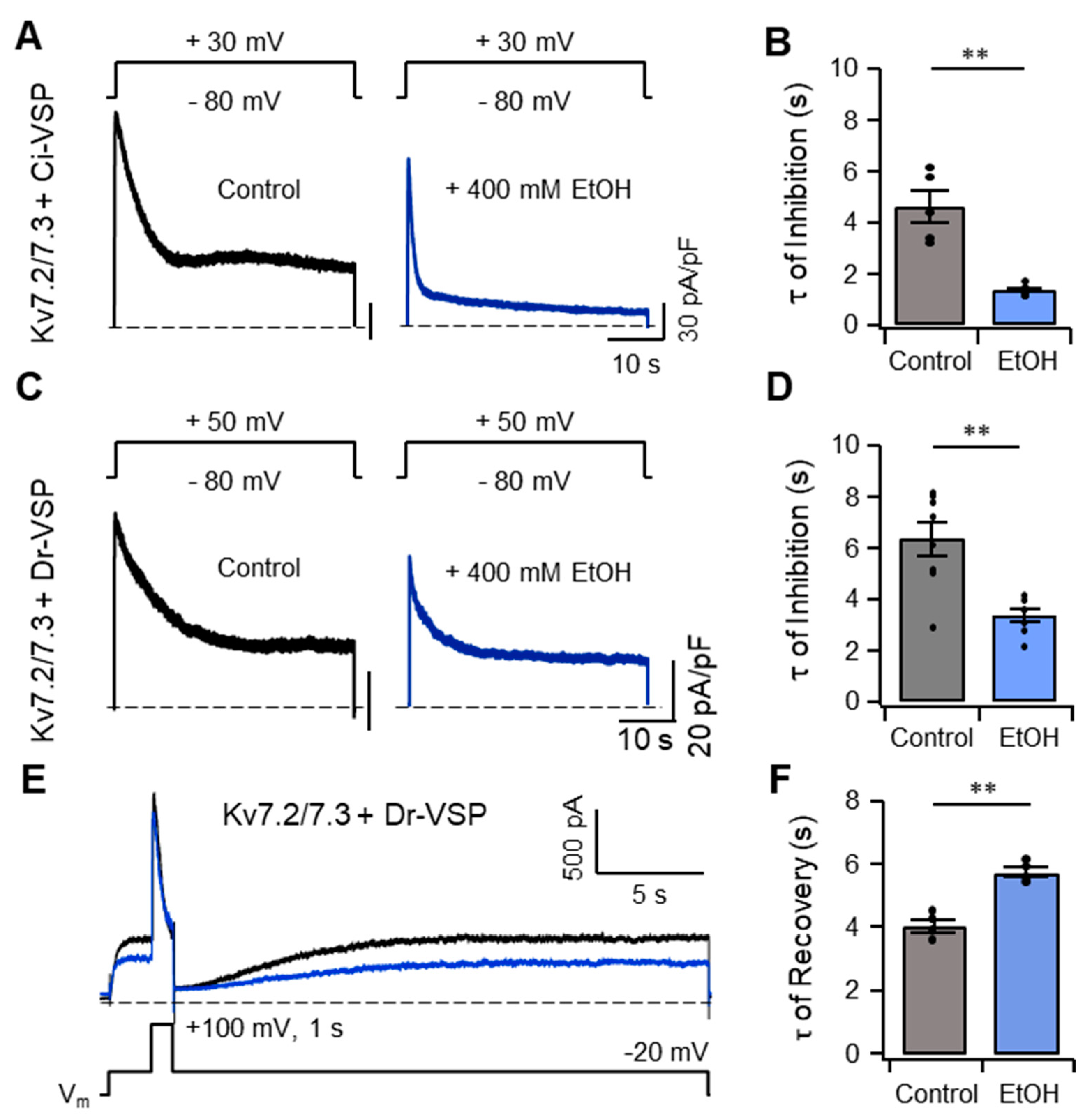 Ijms 20 04419 g007 Ijms 20 04419 g007