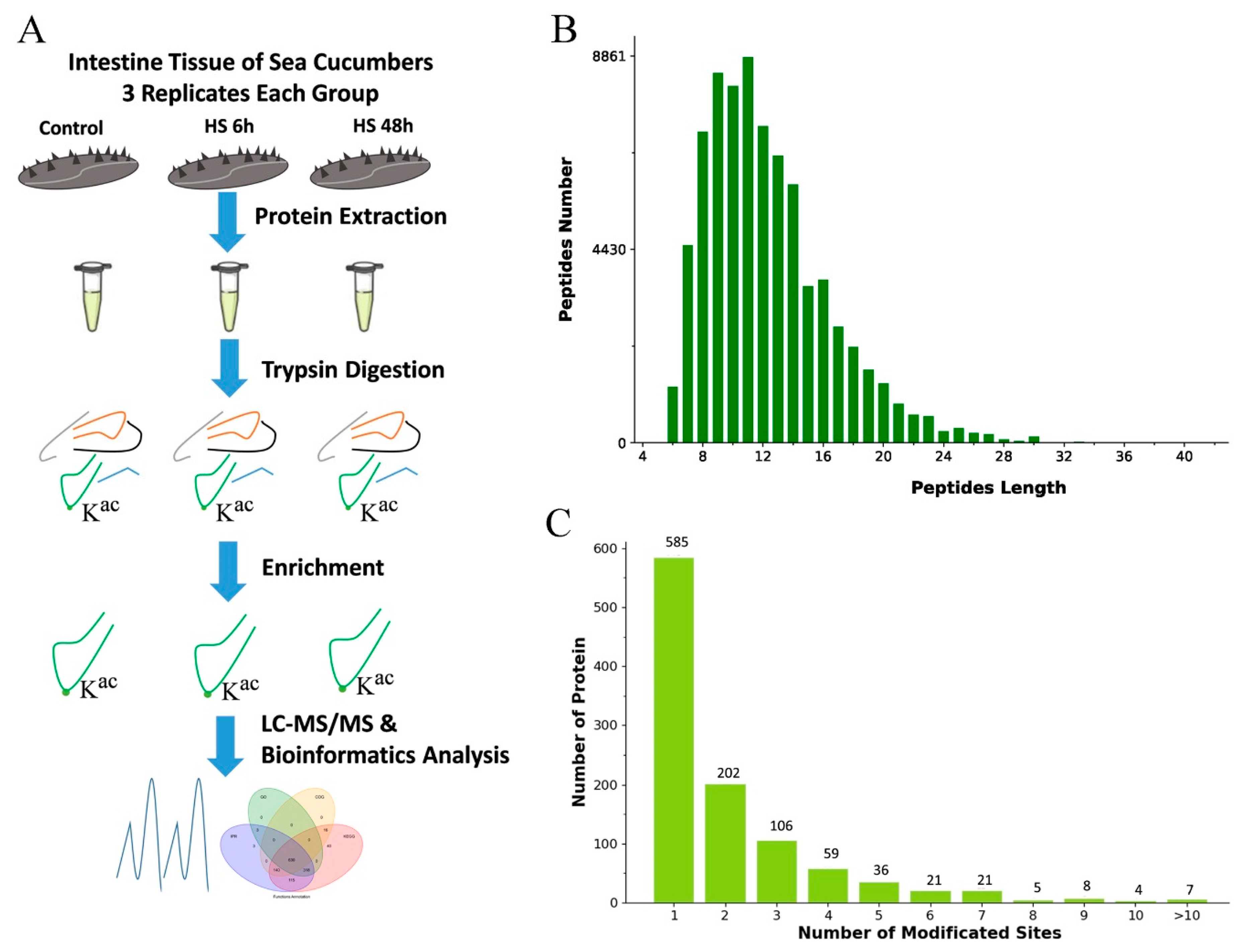 Ijms 20 04423 g001 Ijms 20 04423 g001
