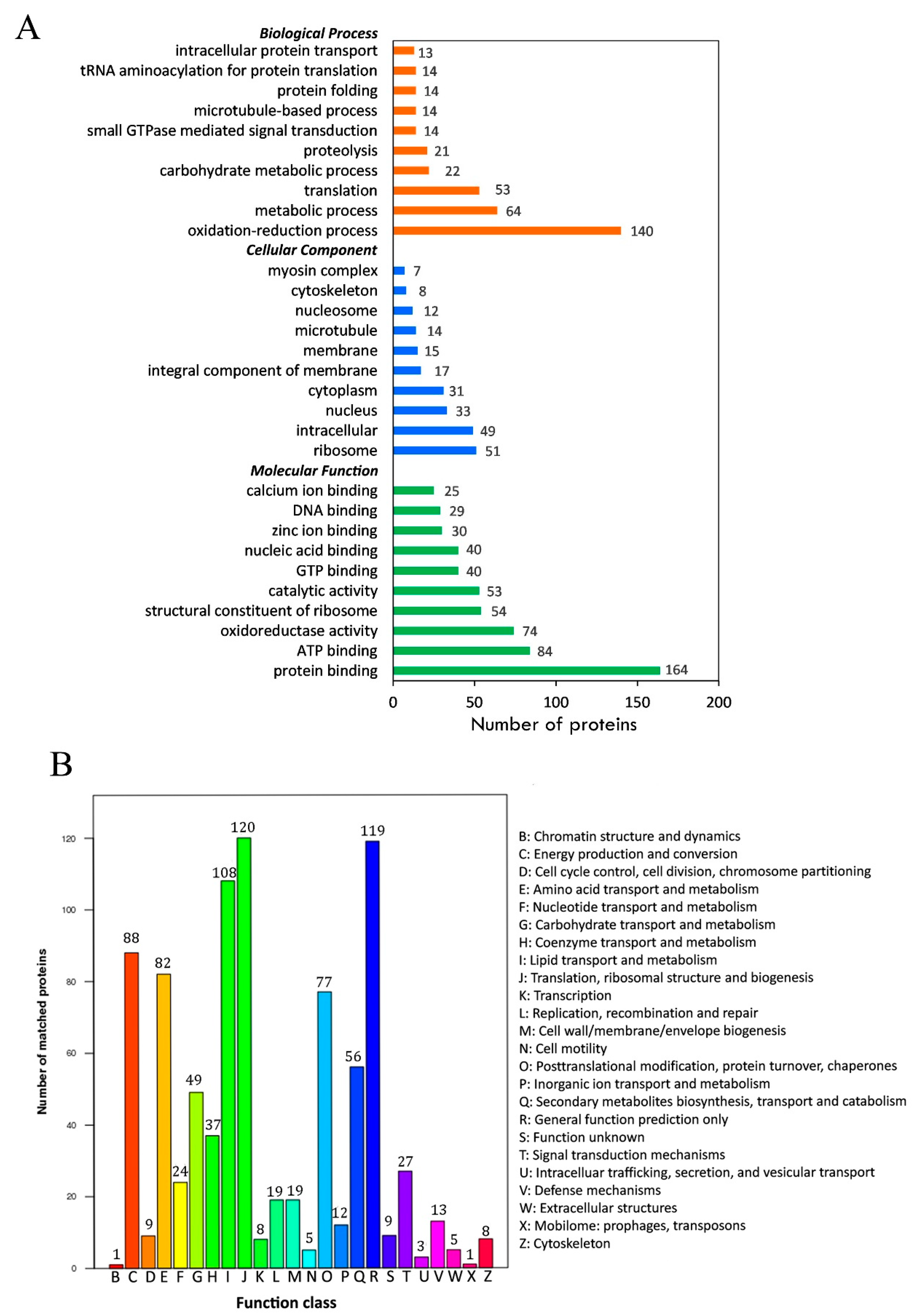 Ijms 20 04423 g003 Ijms 20 04423 g003