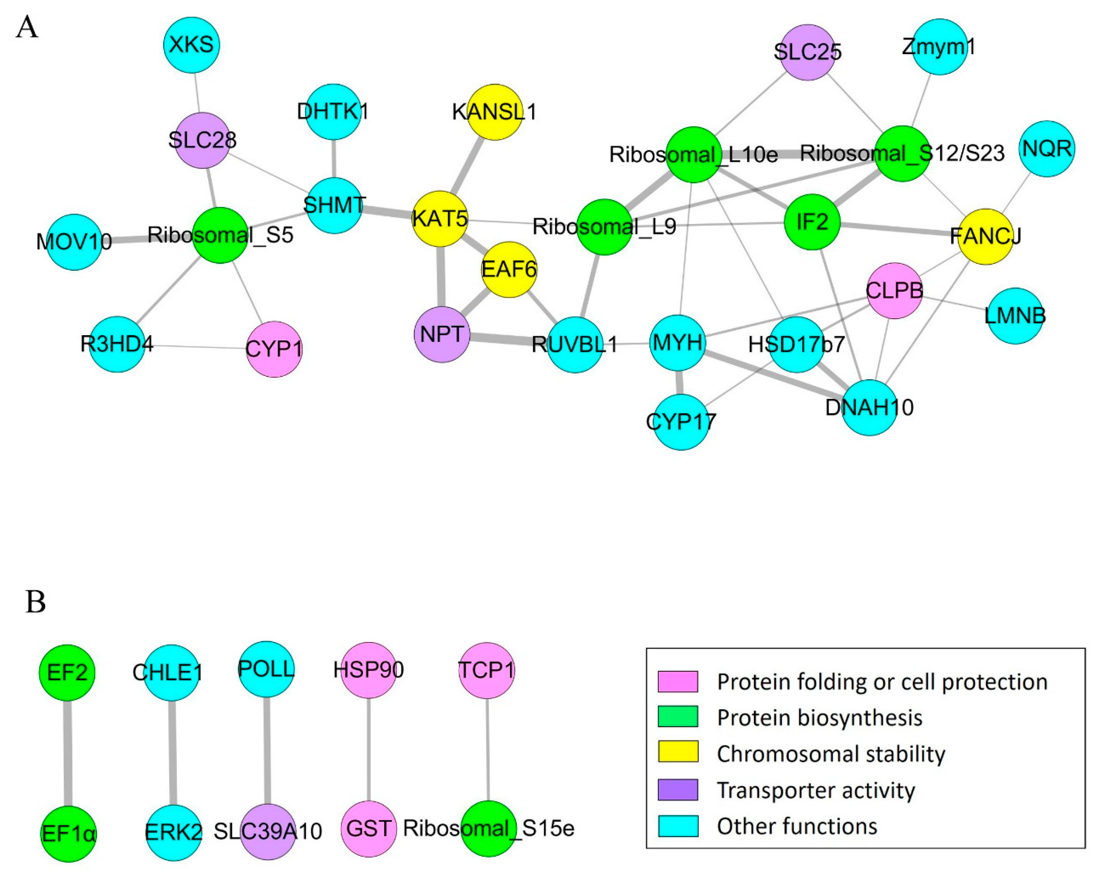Ijms 20 04423 g005 Ijms 20 04423 g005